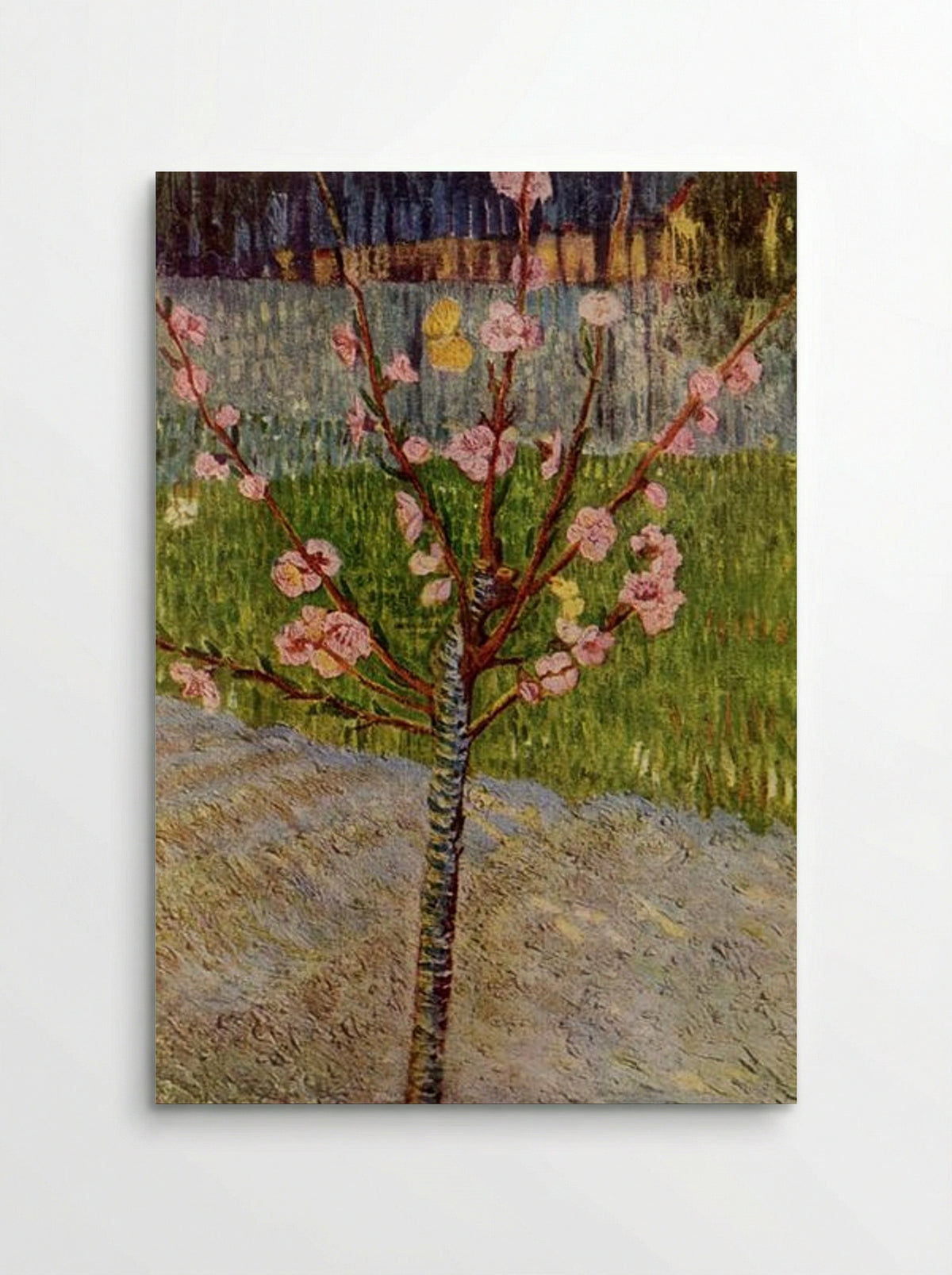 Almond Tree in Blossom - Vincent van Gogh - Poster