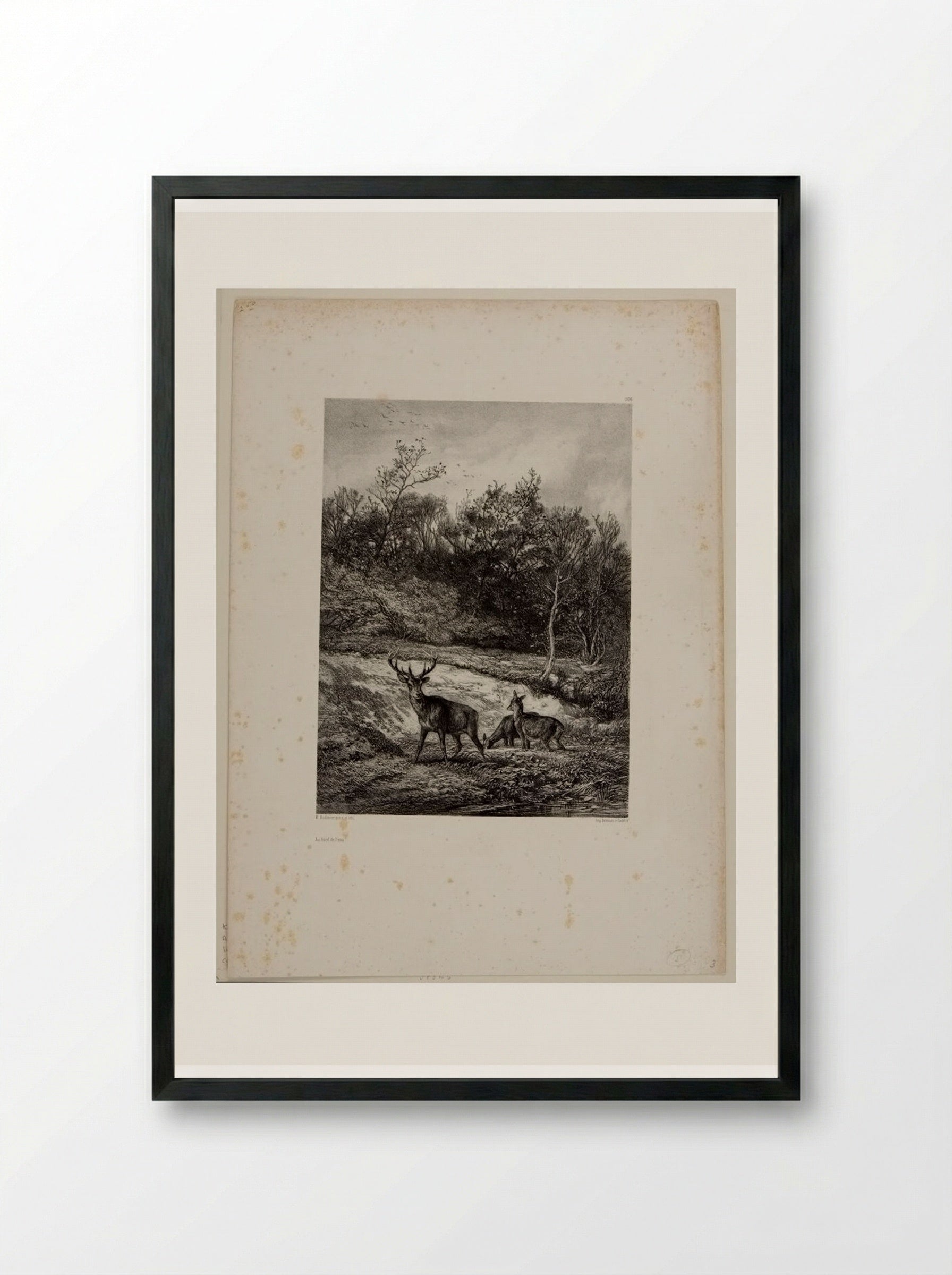 Along the Water - Karl Bodmer - Framed Print Black