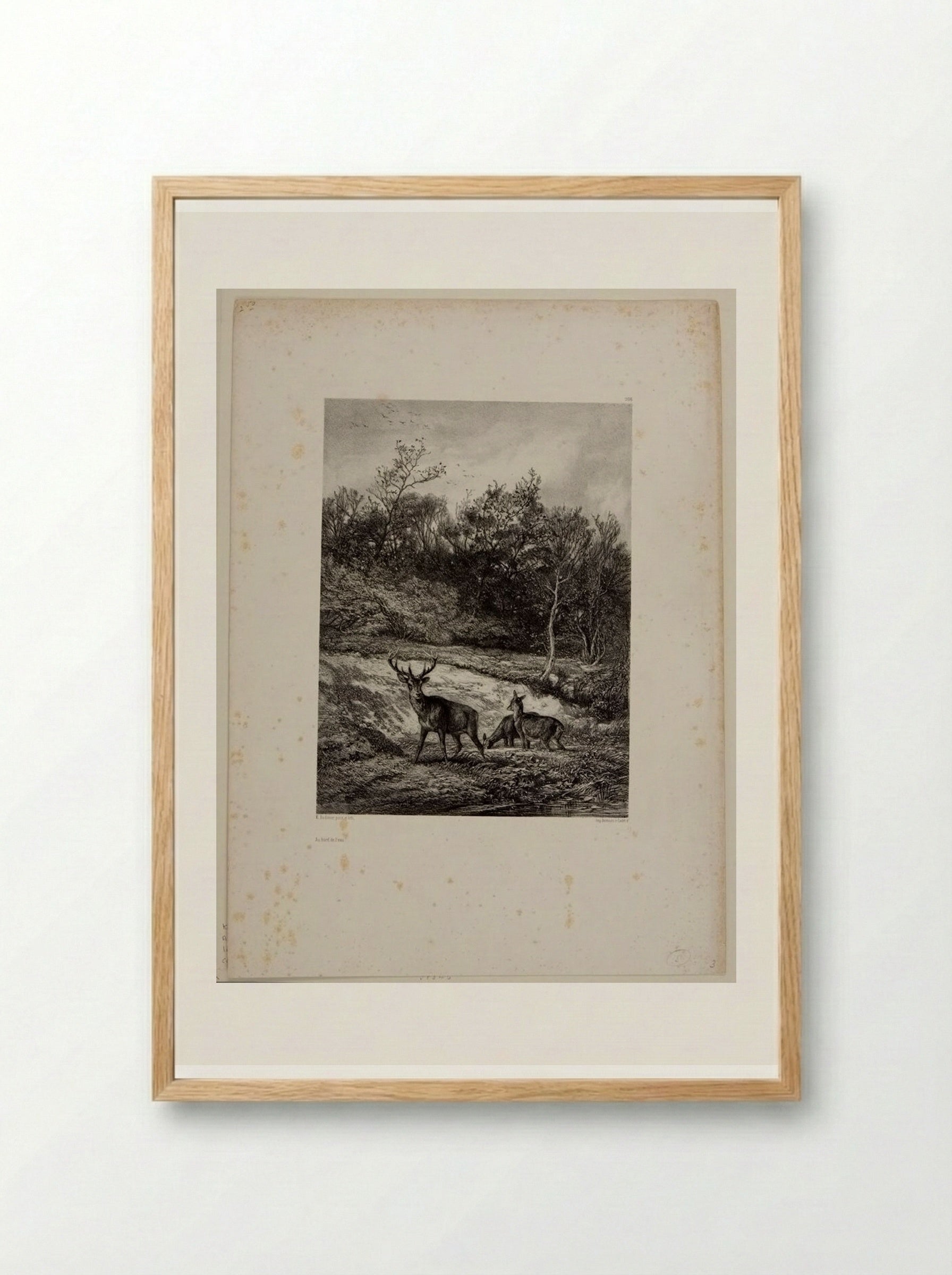 Along the Water - Karl Bodmer - Framed Print Wood