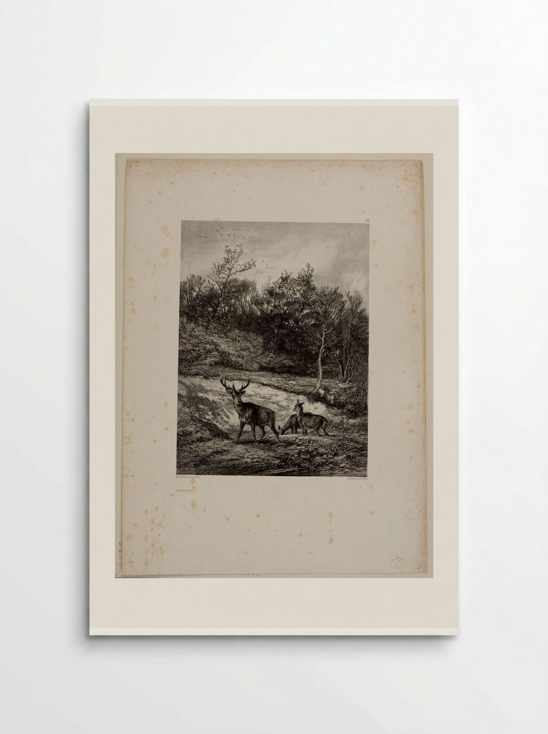 Along the Water - Karl Bodmer - Poster