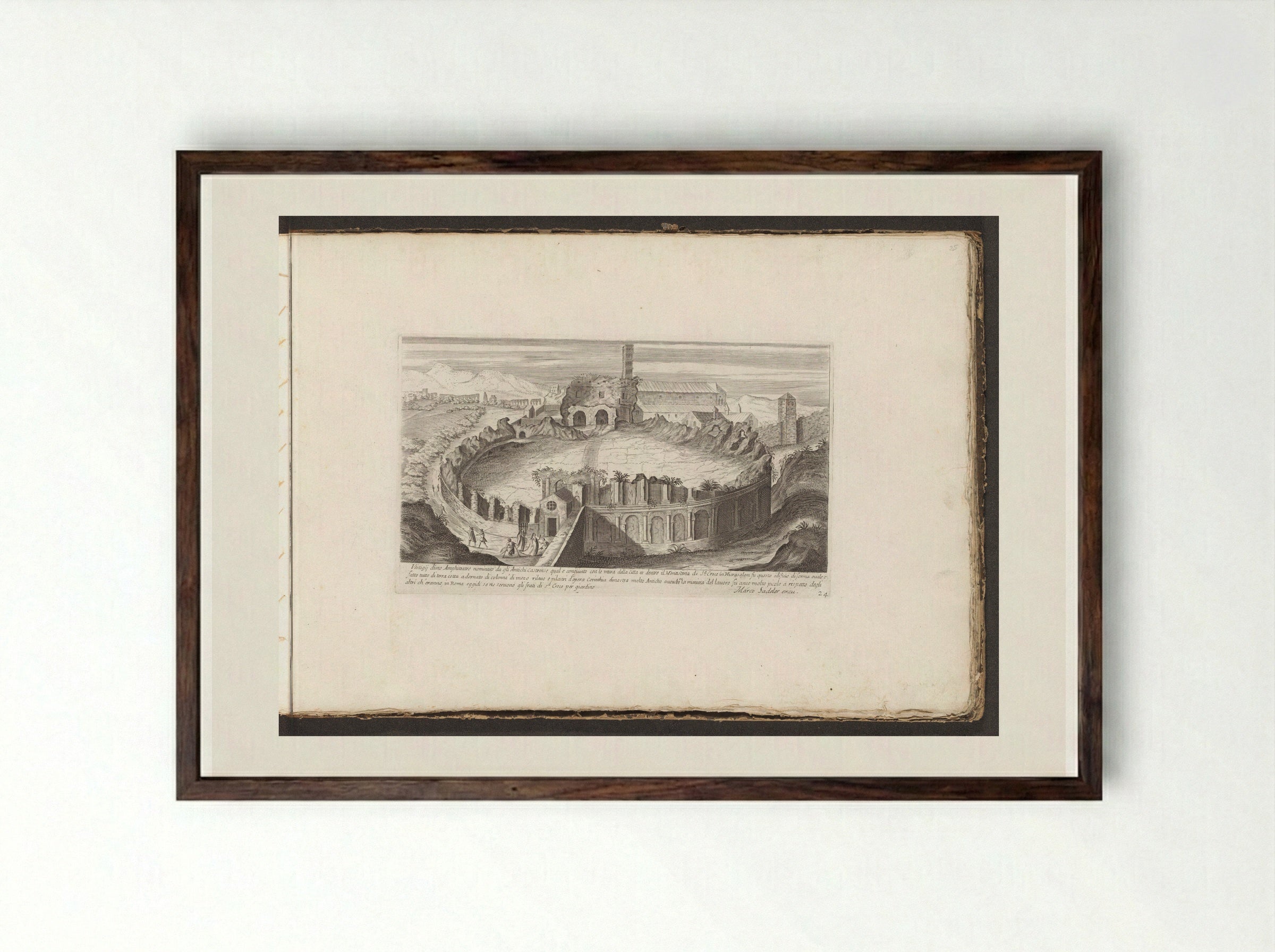 Amphitheatrum Castrense - Giovanni Giacomo de' Rossi - Framed Print Dark Wood