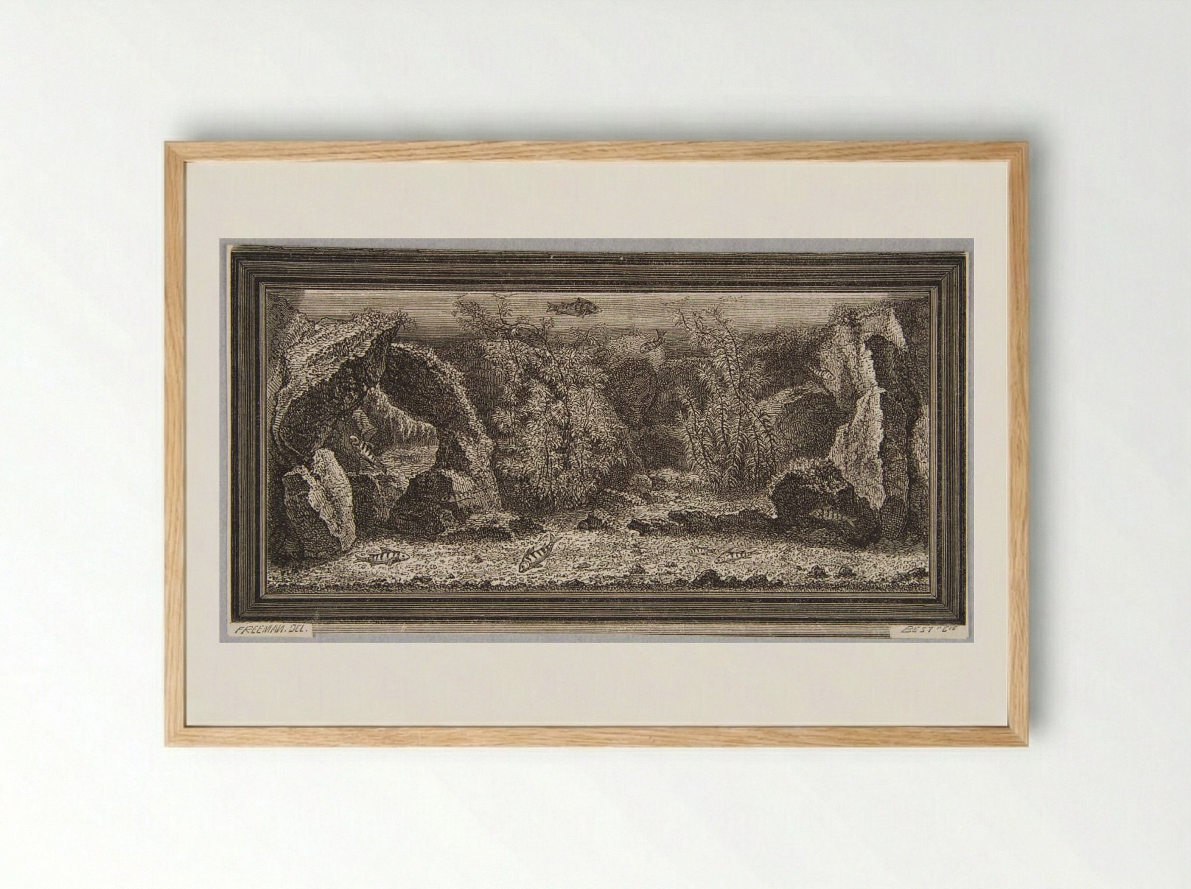 An Aquarium - Best et Cie - Framed Print Wood