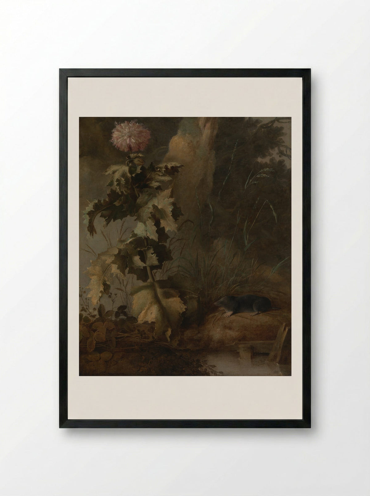 An Egyptian Poppy and a Water Mole - John Crome - Framed Print Black