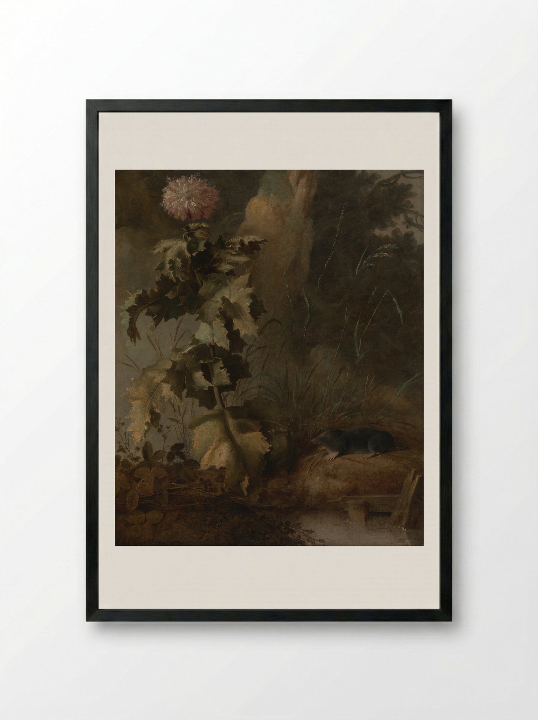 An Egyptian Poppy and a Water Mole - John Crome - Framed Print Black