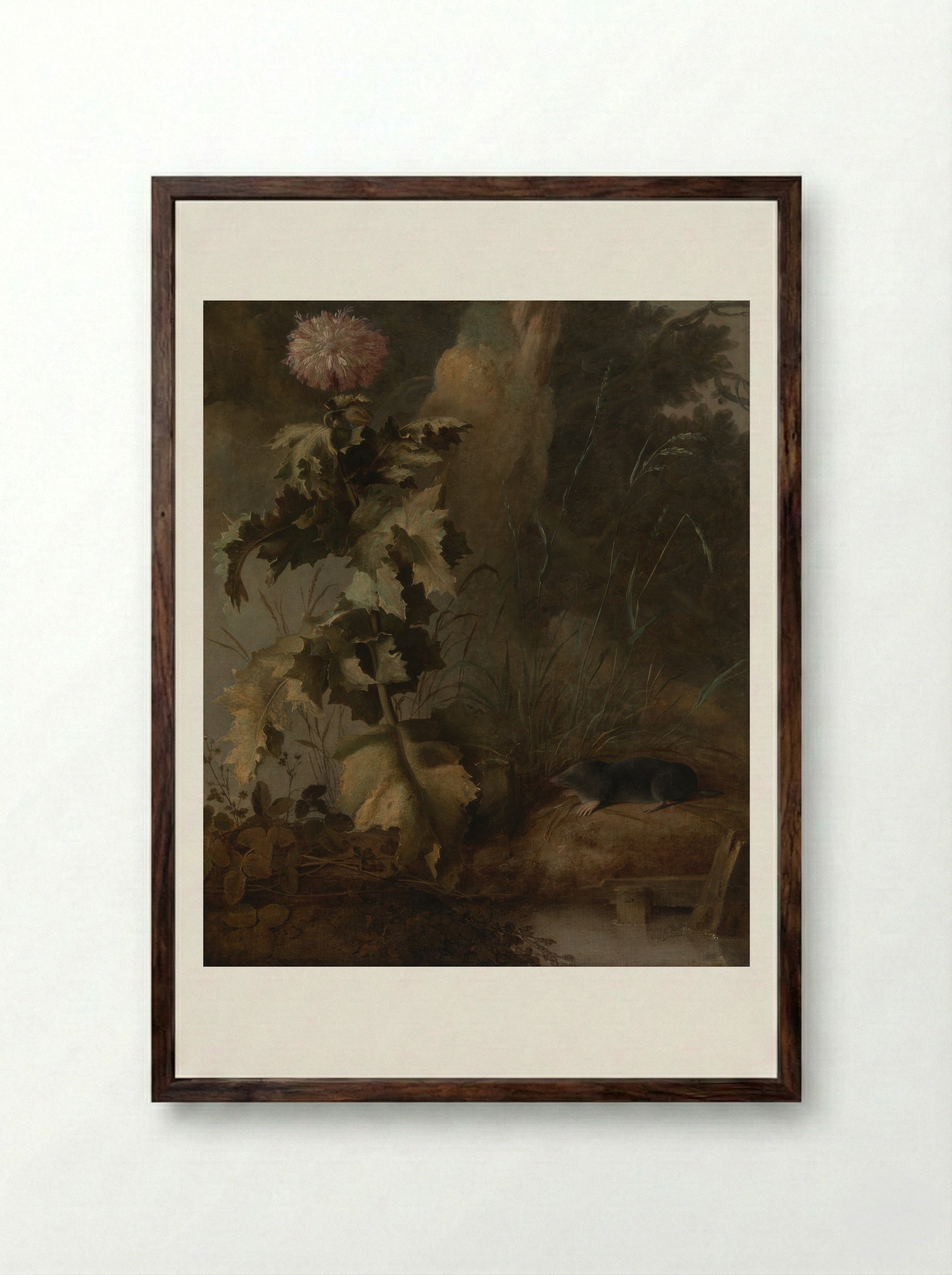 An Egyptian Poppy and a Water Mole - John Crome - Framed Print Dark Wood