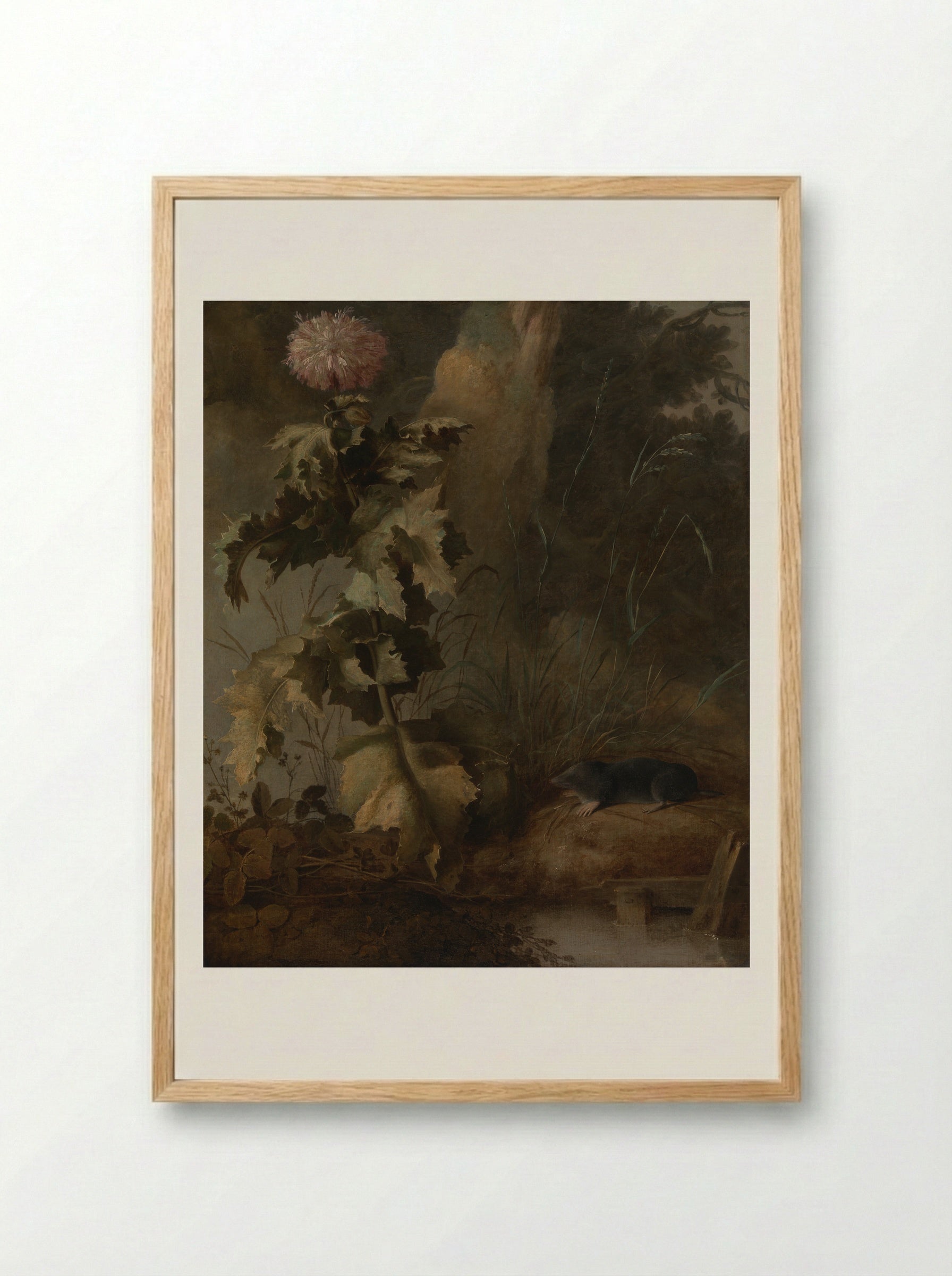 An Egyptian Poppy and a Water Mole - John Crome - Framed Print Wood
