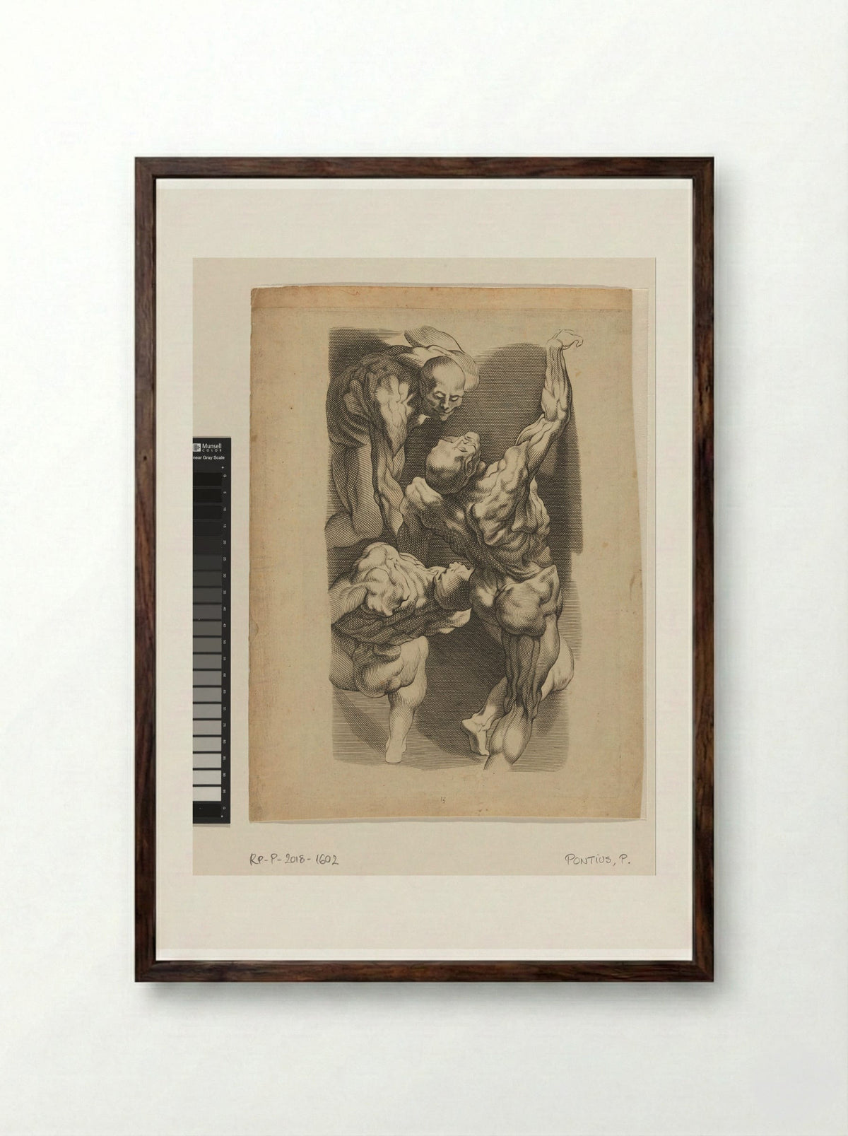 Anatomical Study of Three Men - Paulus Pontius - Framed Print Dark Wood