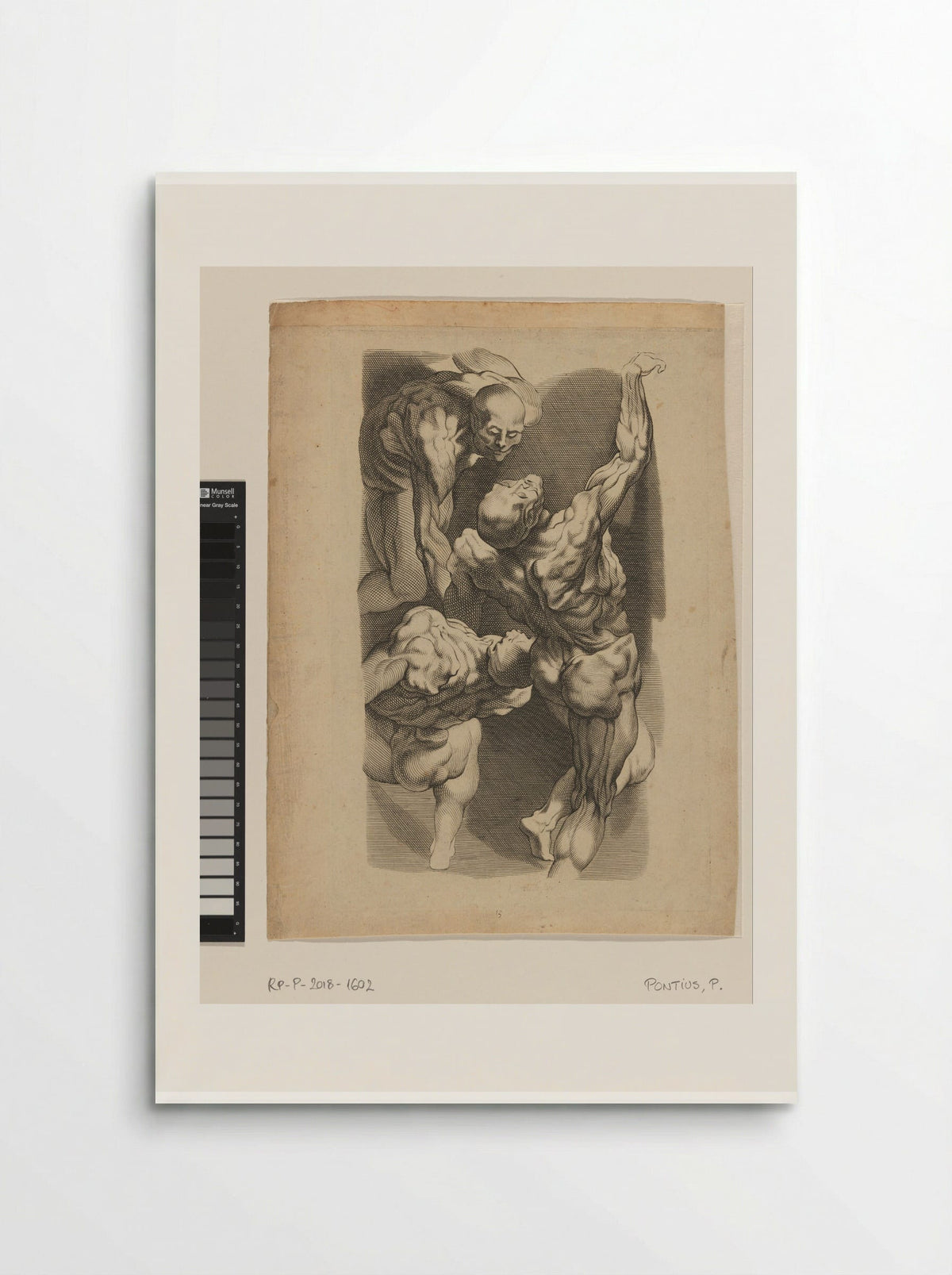 Anatomical Study of Three Men - Paulus Pontius - Poster