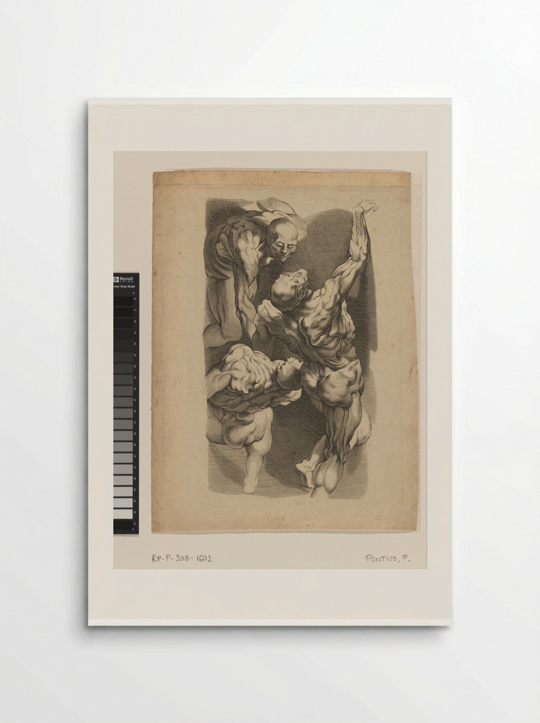 Anatomical Study of Three Men - Paulus Pontius - Poster