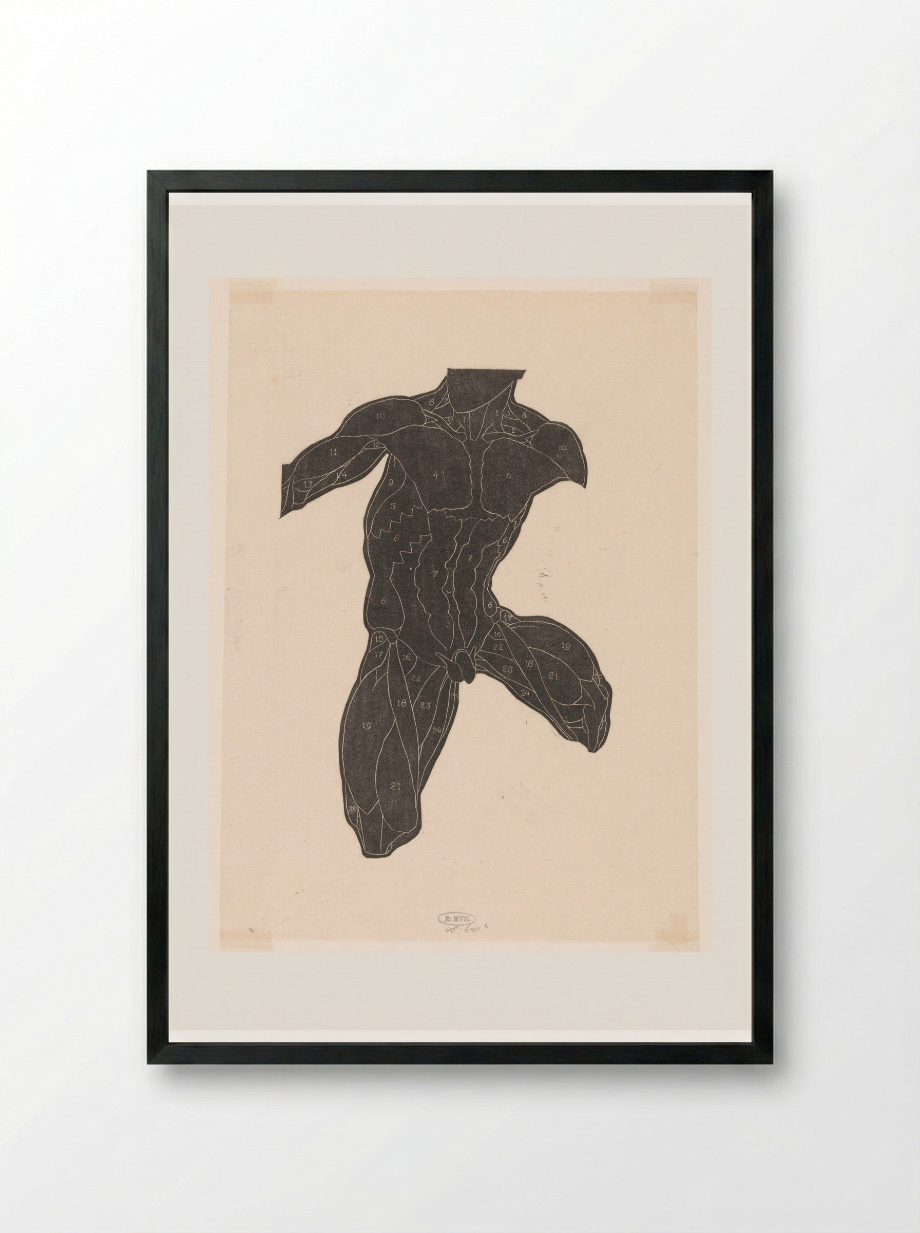 Anatomische studie van de nek-, buik- en bovenbeenspieren van een man in silhouet - Reijer Stolk - Framed Print Black