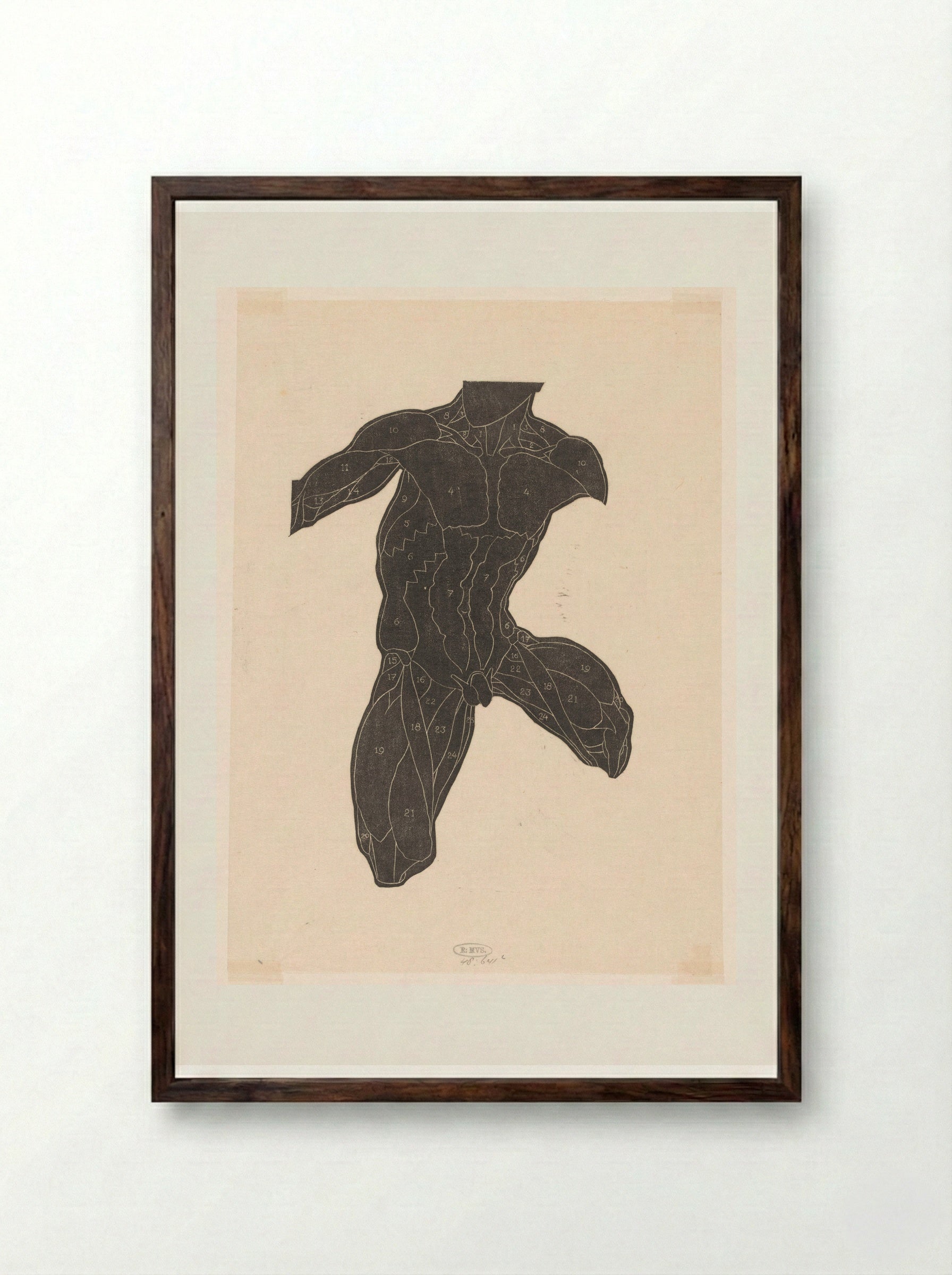 Anatomische studie van de nek-, buik- en bovenbeenspieren van een man in silhouet - Reijer Stolk - Framed Print Dark Wood