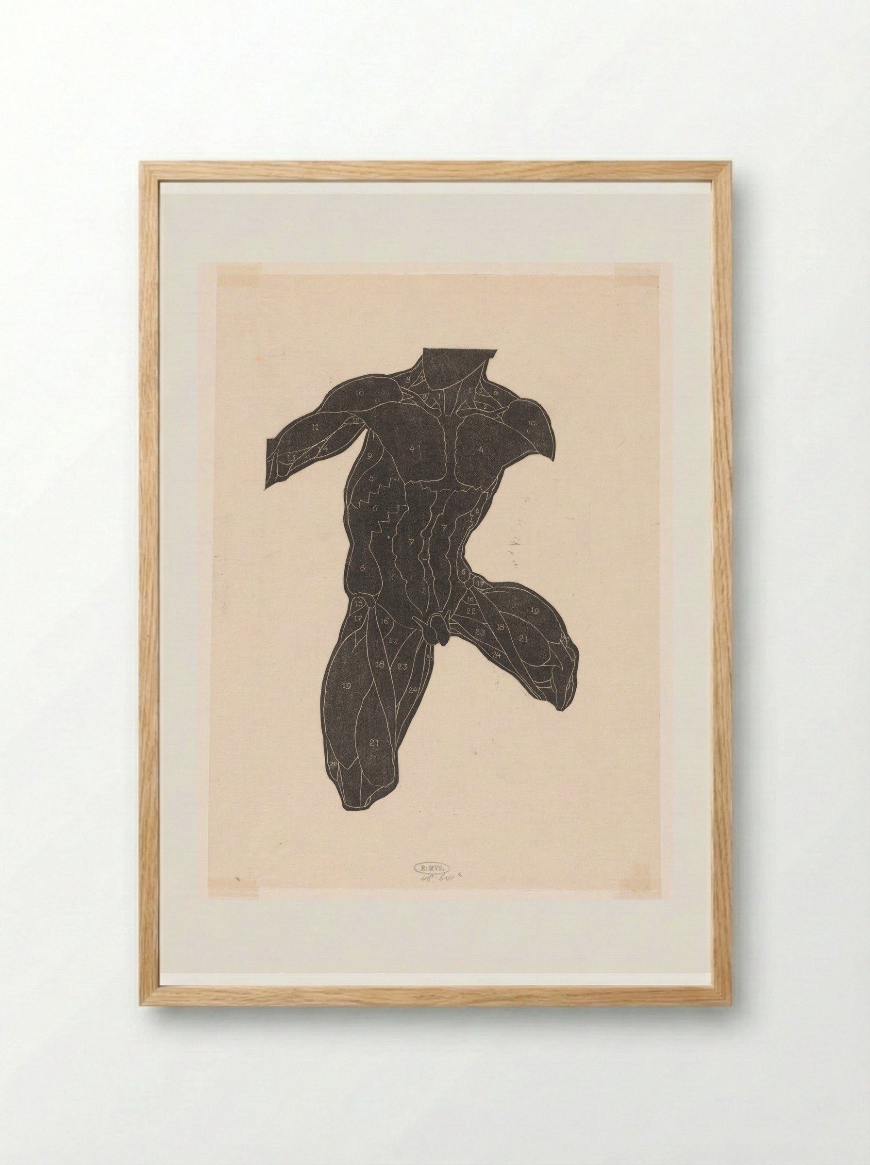 Anatomische studie van de nek-, buik- en bovenbeenspieren van een man in silhouet - Reijer Stolk - Framed Print Wood
