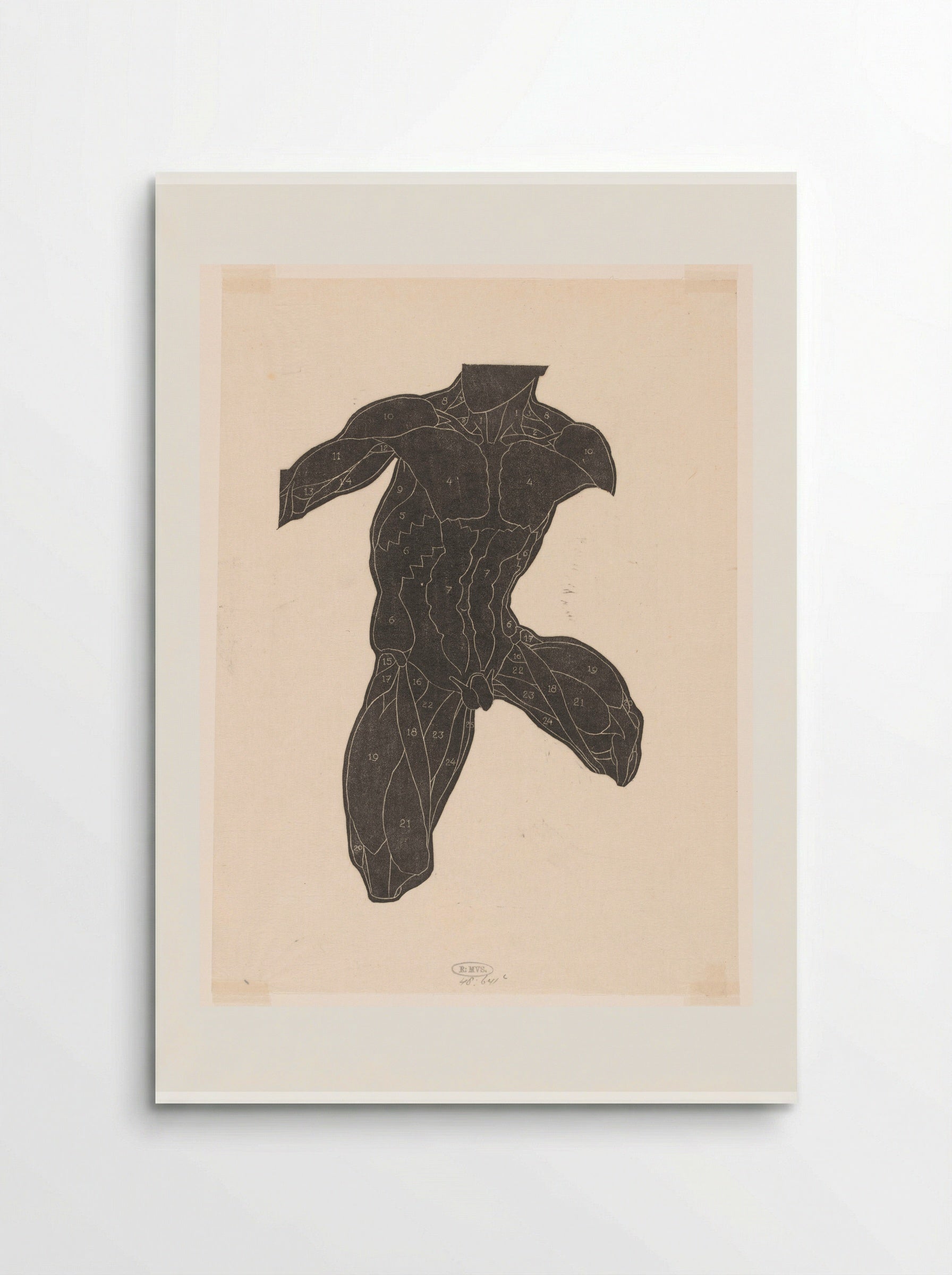Anatomische studie van de nek-, buik- en bovenbeenspieren van een man in silhouet - Reijer Stolk - Poster