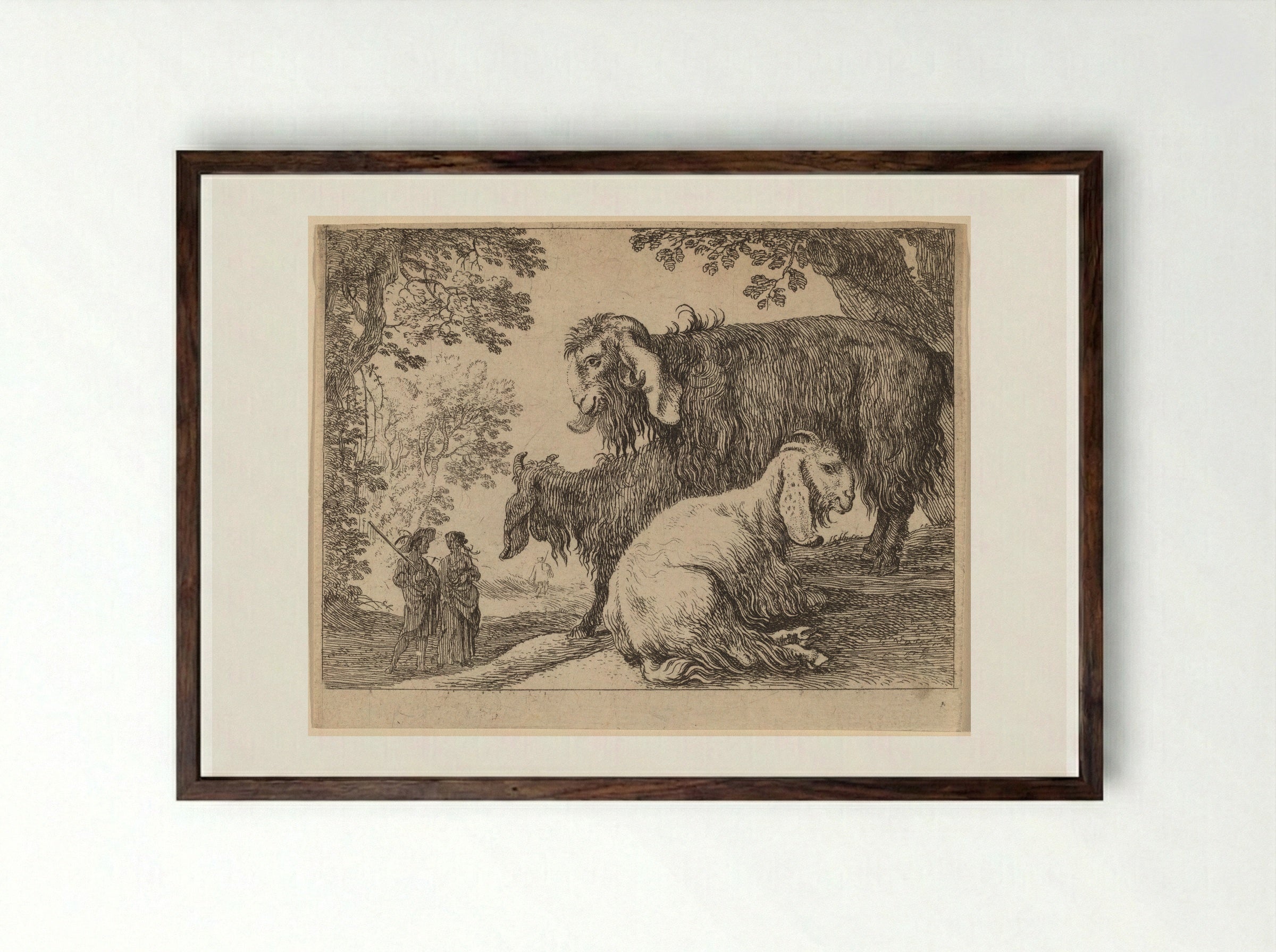 Angora Sheep - Herman van Swanevelt - Framed Print Dark Wood