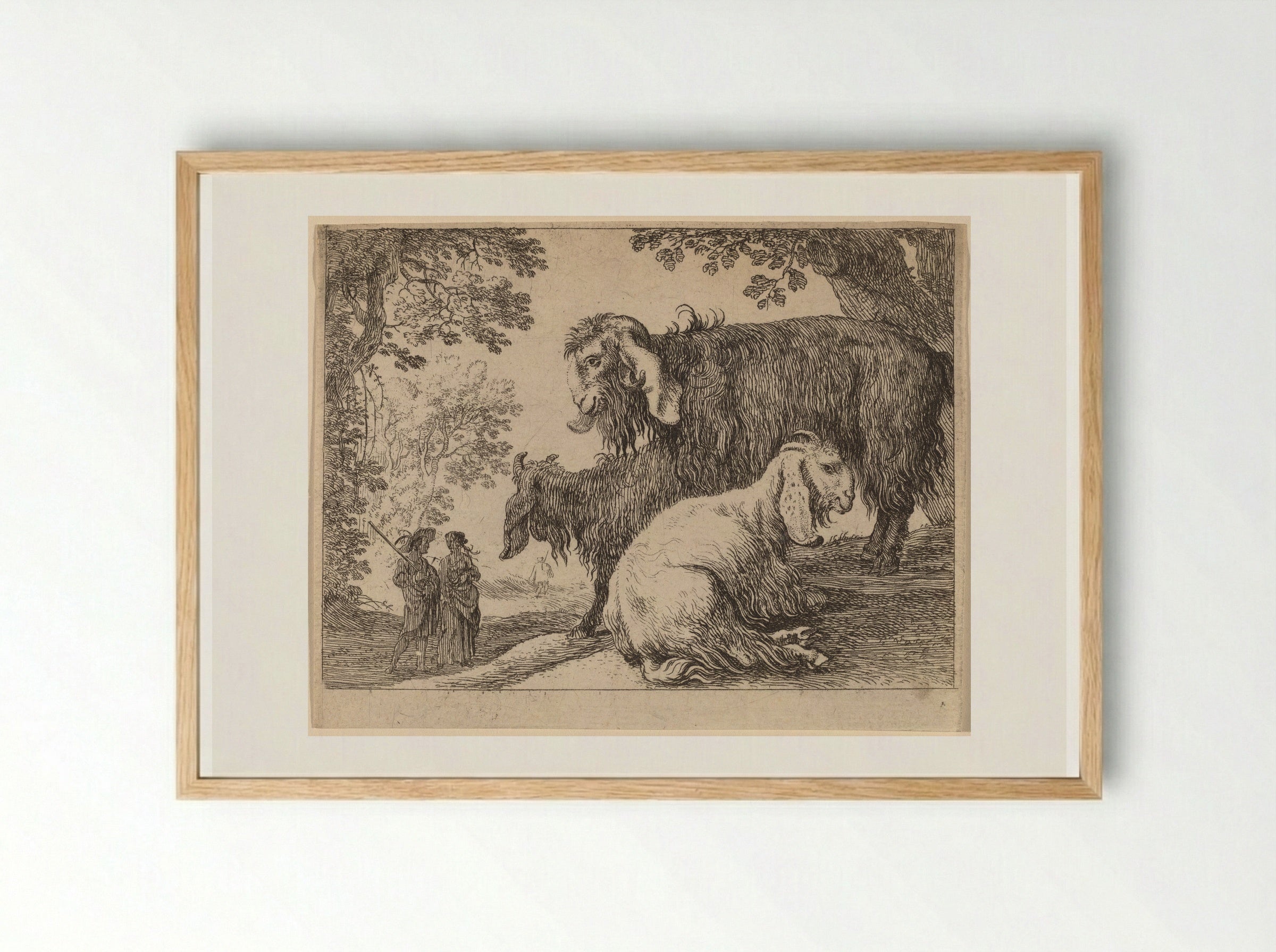 Angora Sheep - Herman van Swanevelt - Framed Print Wood