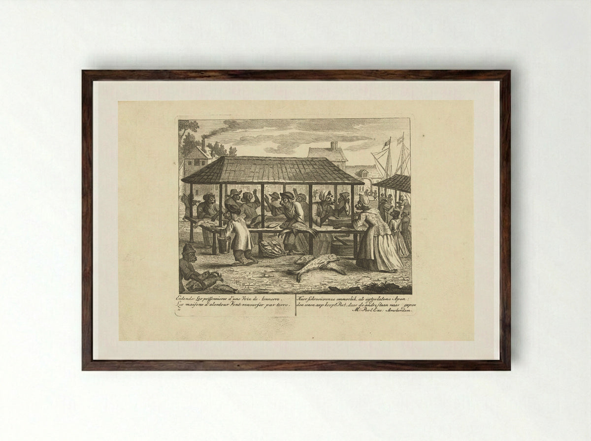 Apen op de vismarkt - Matthijs Pool - Framed Print Dark Wood