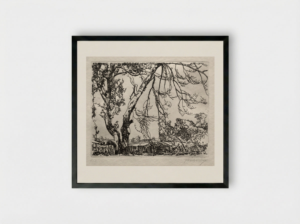 Apple Tree - Frank Wilcox - Framed Print Black