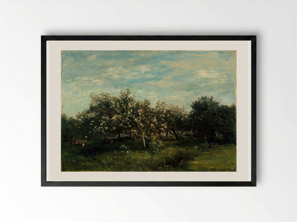 Apple Trees in Blossom - Charles-François Daubigny - Framed Print Black