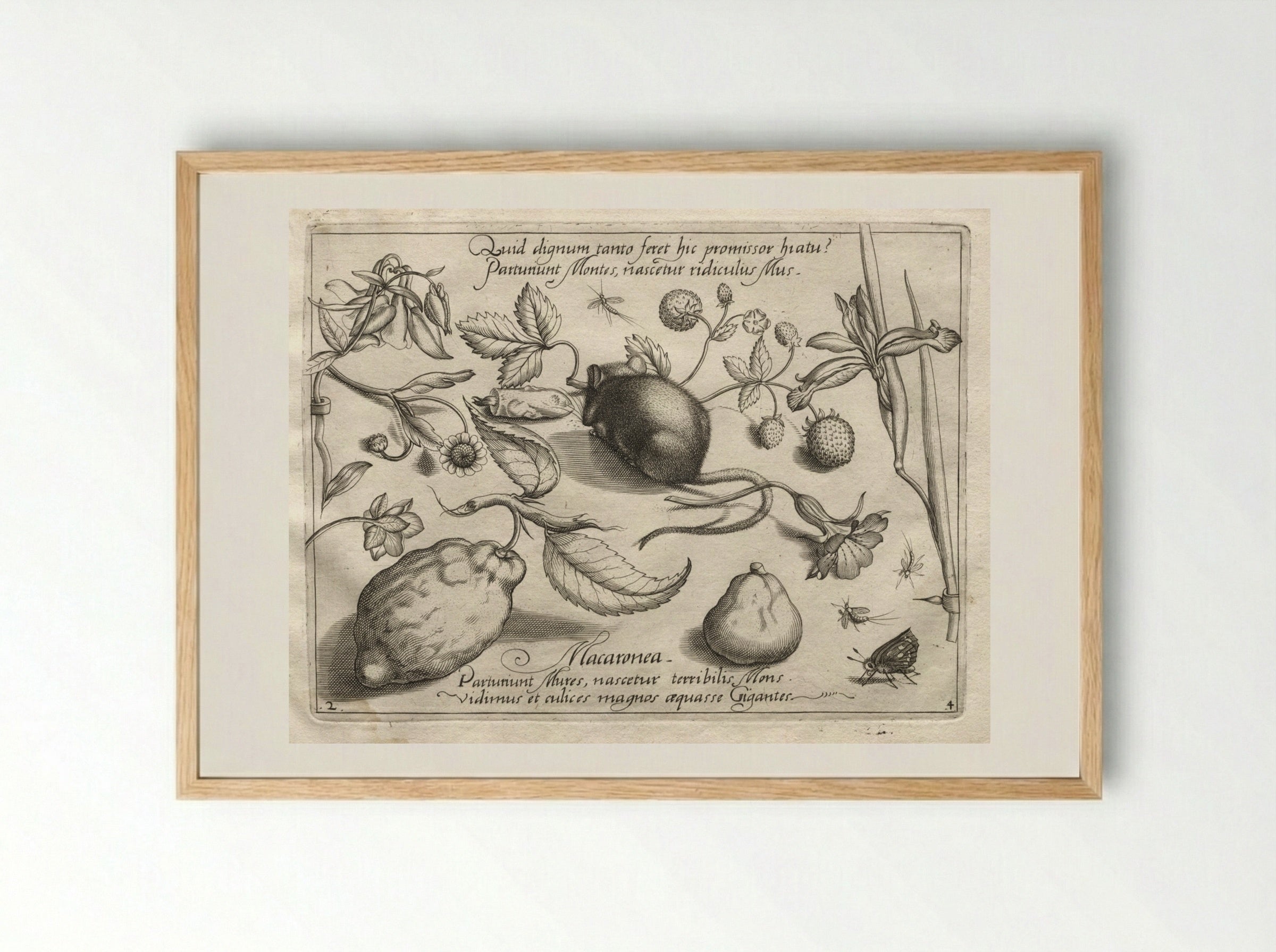 Archetypes and Studies: What can emerge in keeping with such a cavernous promise? (Part IV, plate 2) - Joris Hoefnagel - Framed Print Wood