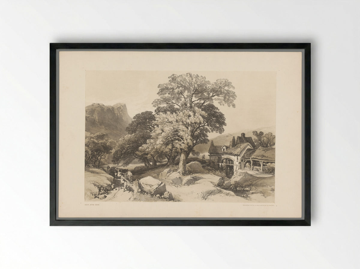 Ash and Oak - Thomas McLean - Framed Print Black