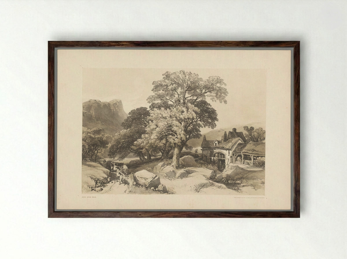Ash and Oak - Thomas McLean - Framed Print Dark Wood
