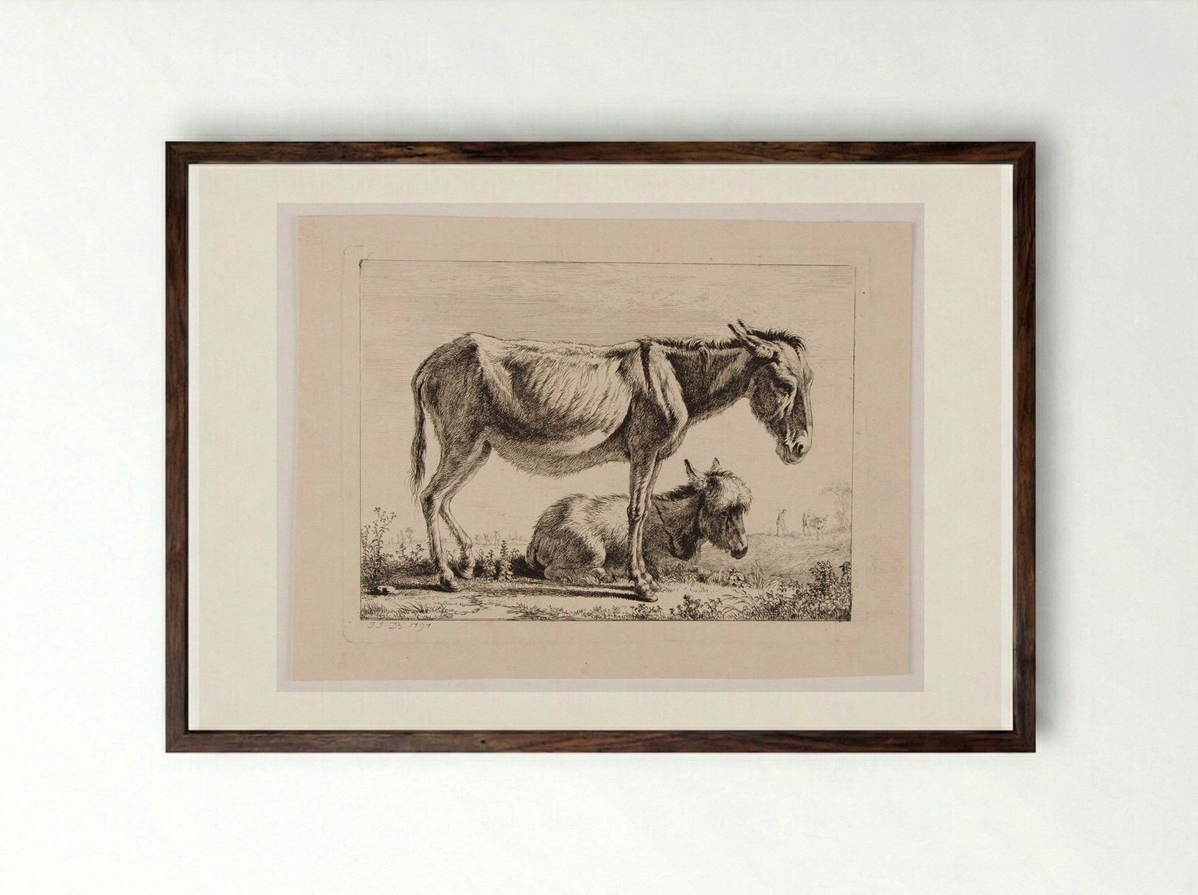 Ass with Her Foal - Jean-Jacques de Boissieu - Framed Print Dark Wood