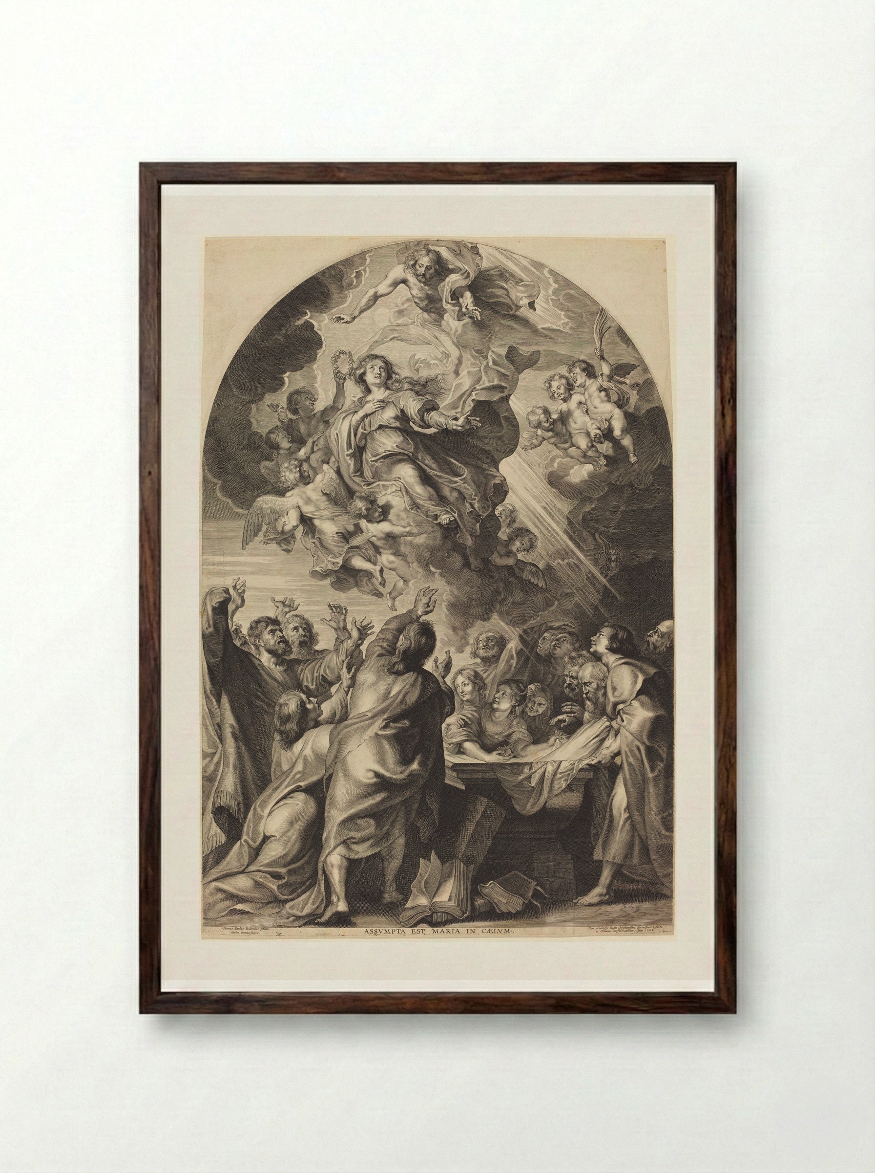 Assumption of the Virgin - Paulus Pontius - Framed Print Dark Wood