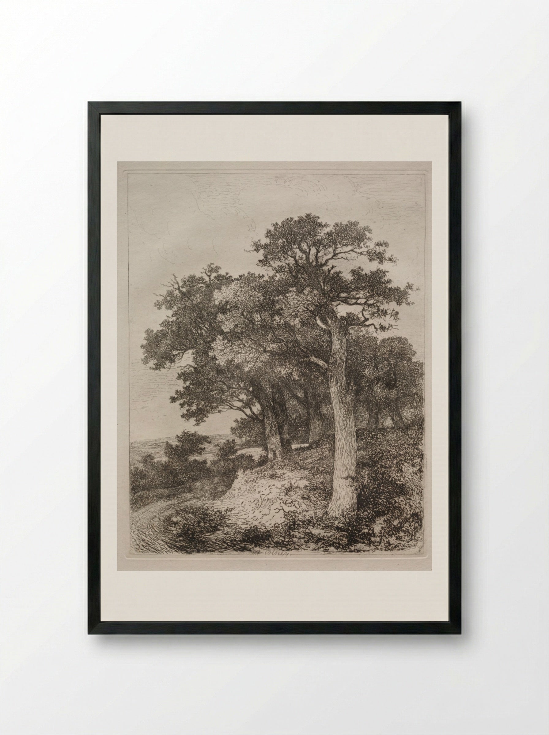 At Colney - John Crome - Framed Print Black