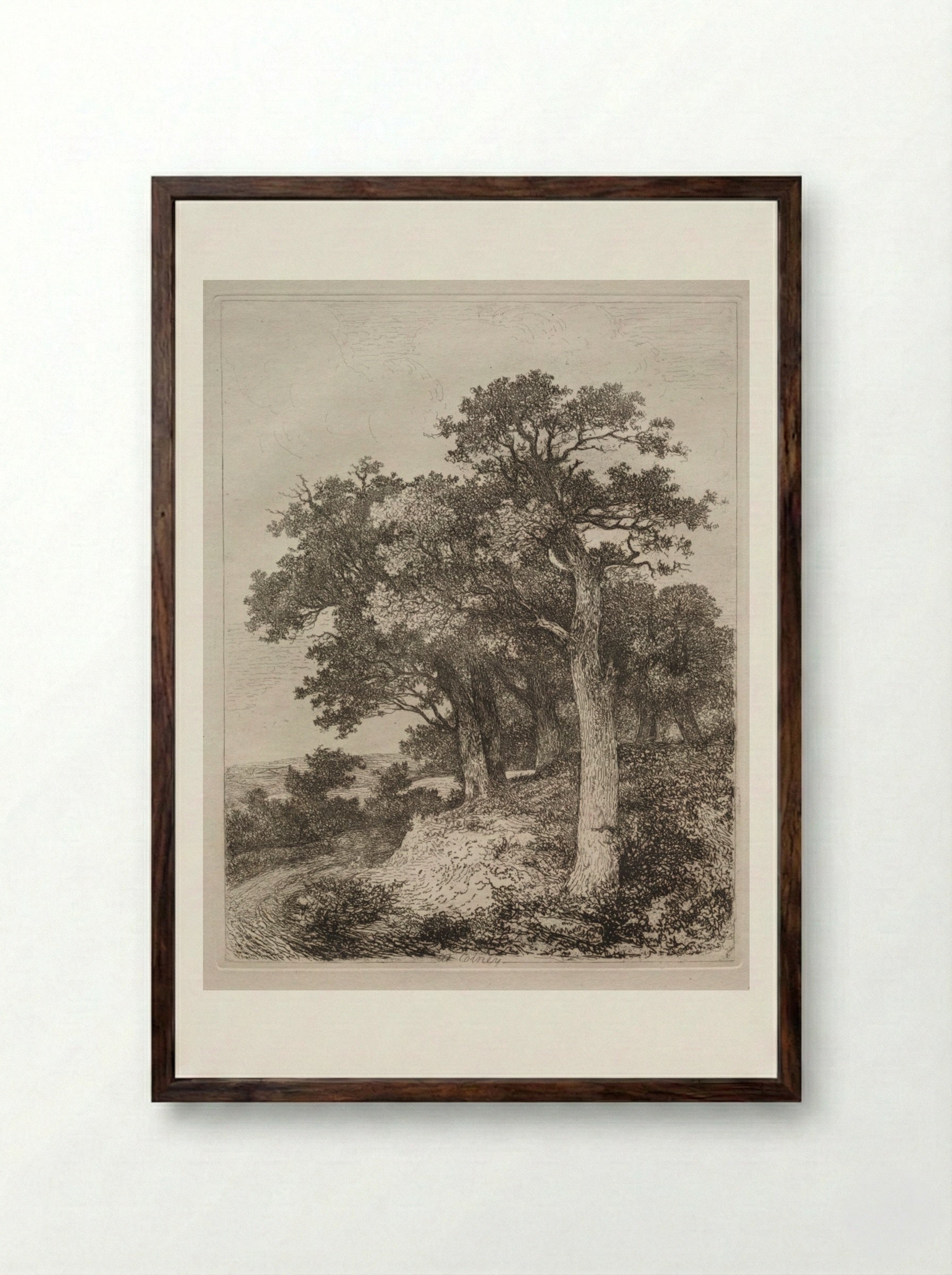 At Colney - John Crome - Framed Print Dark Wood