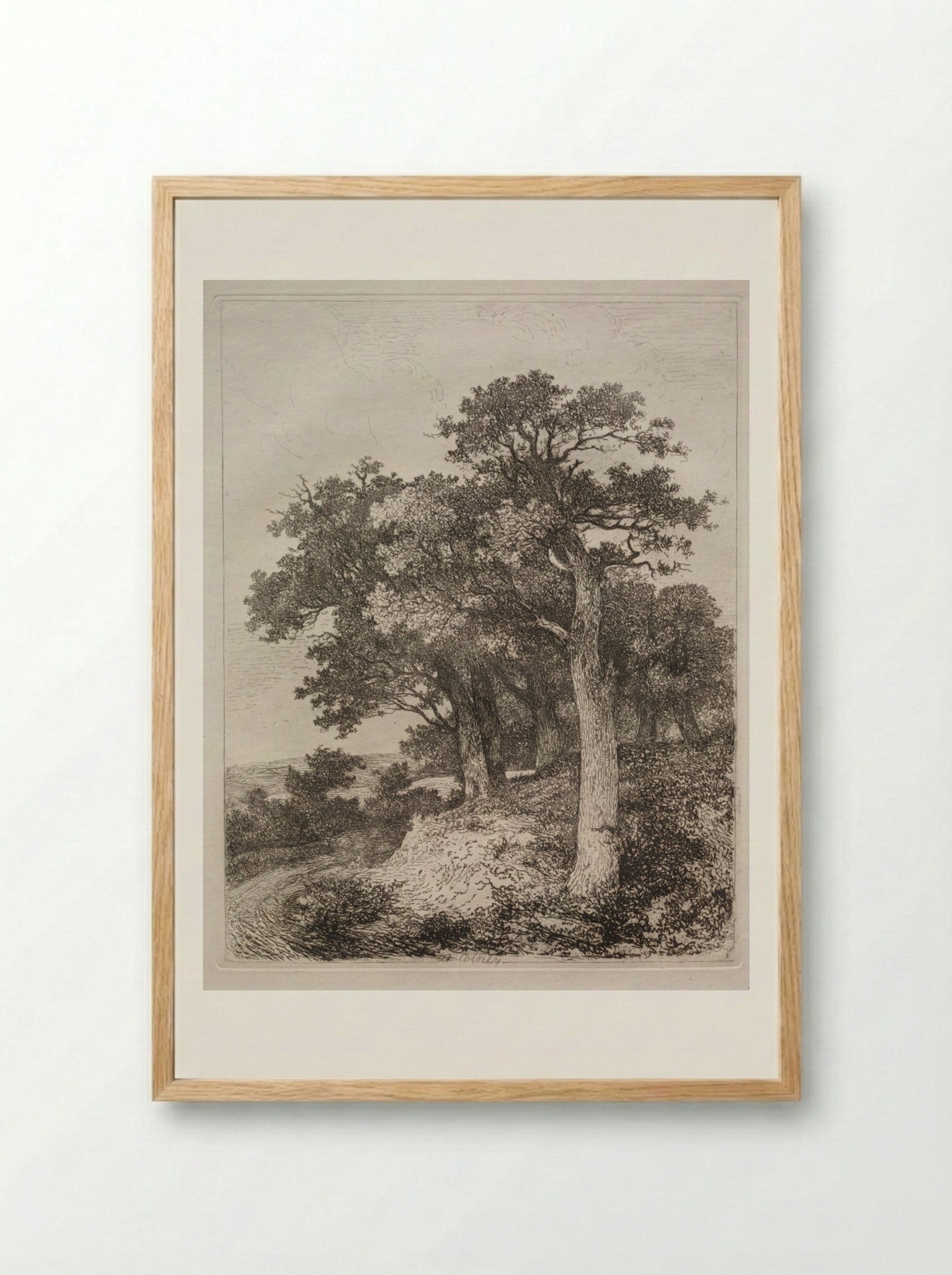At Colney - John Crome - Framed Print Wood