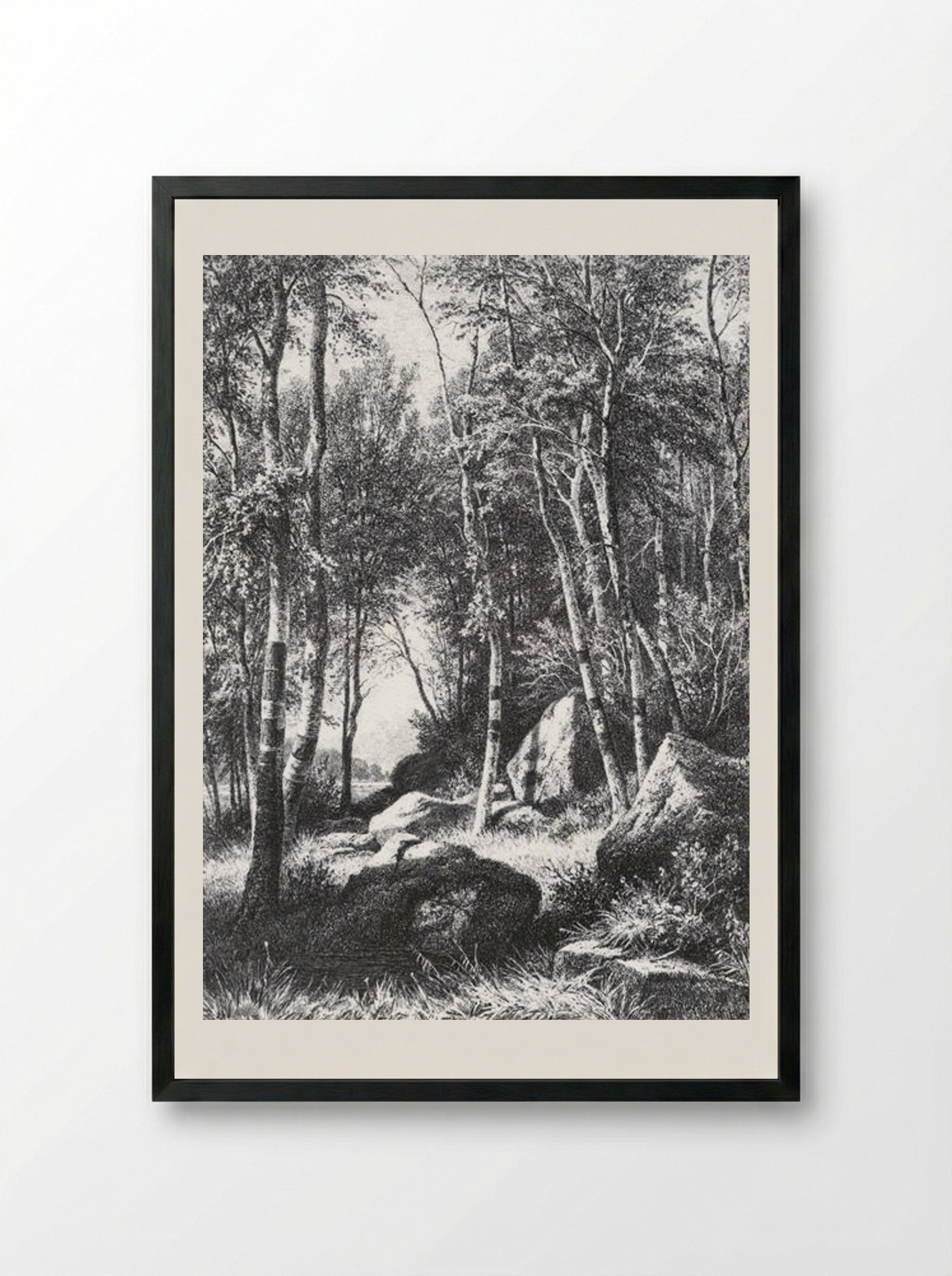 At the edge of a birch grove. Valaam - Ivan Shishkin - Framed Print Black