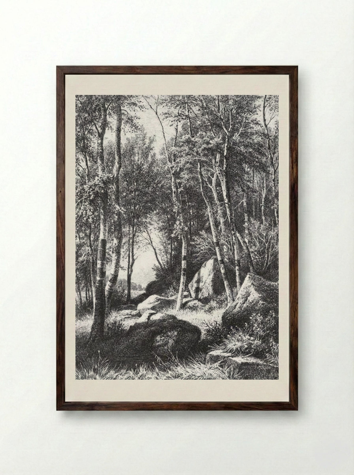 At the edge of a birch grove. Valaam - Ivan Shishkin - Framed Print Dark Wood