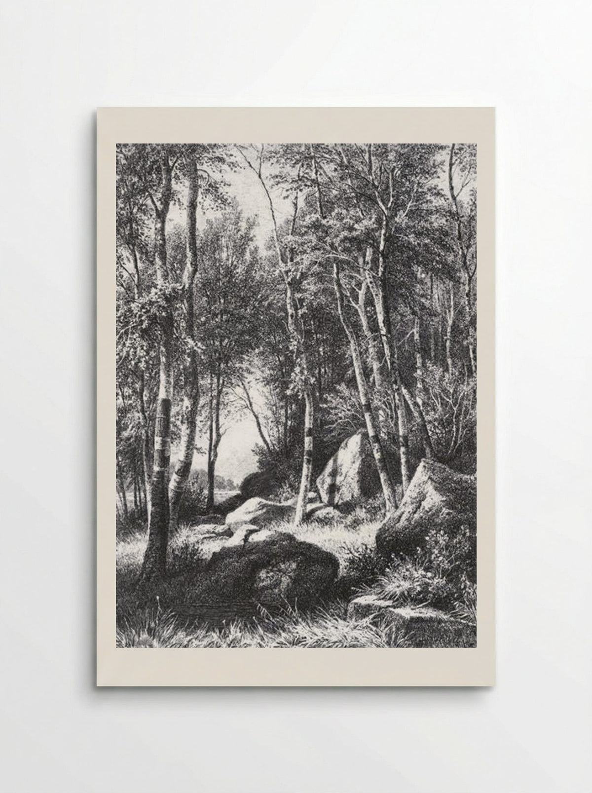 At the edge of a birch grove. Valaam - Ivan Shishkin - Poster