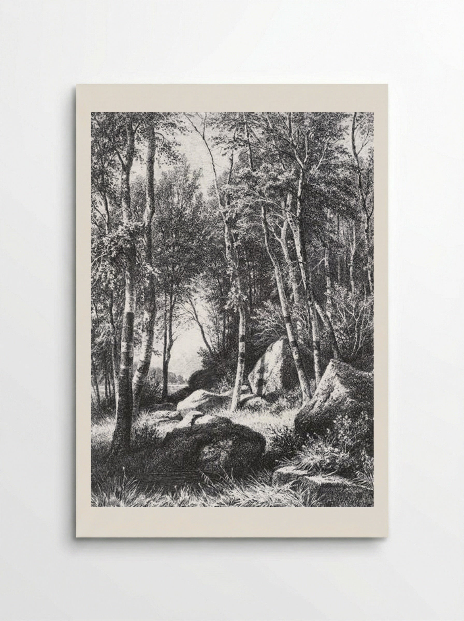 At the edge of a birch grove. Valaam - Ivan Shishkin - Poster