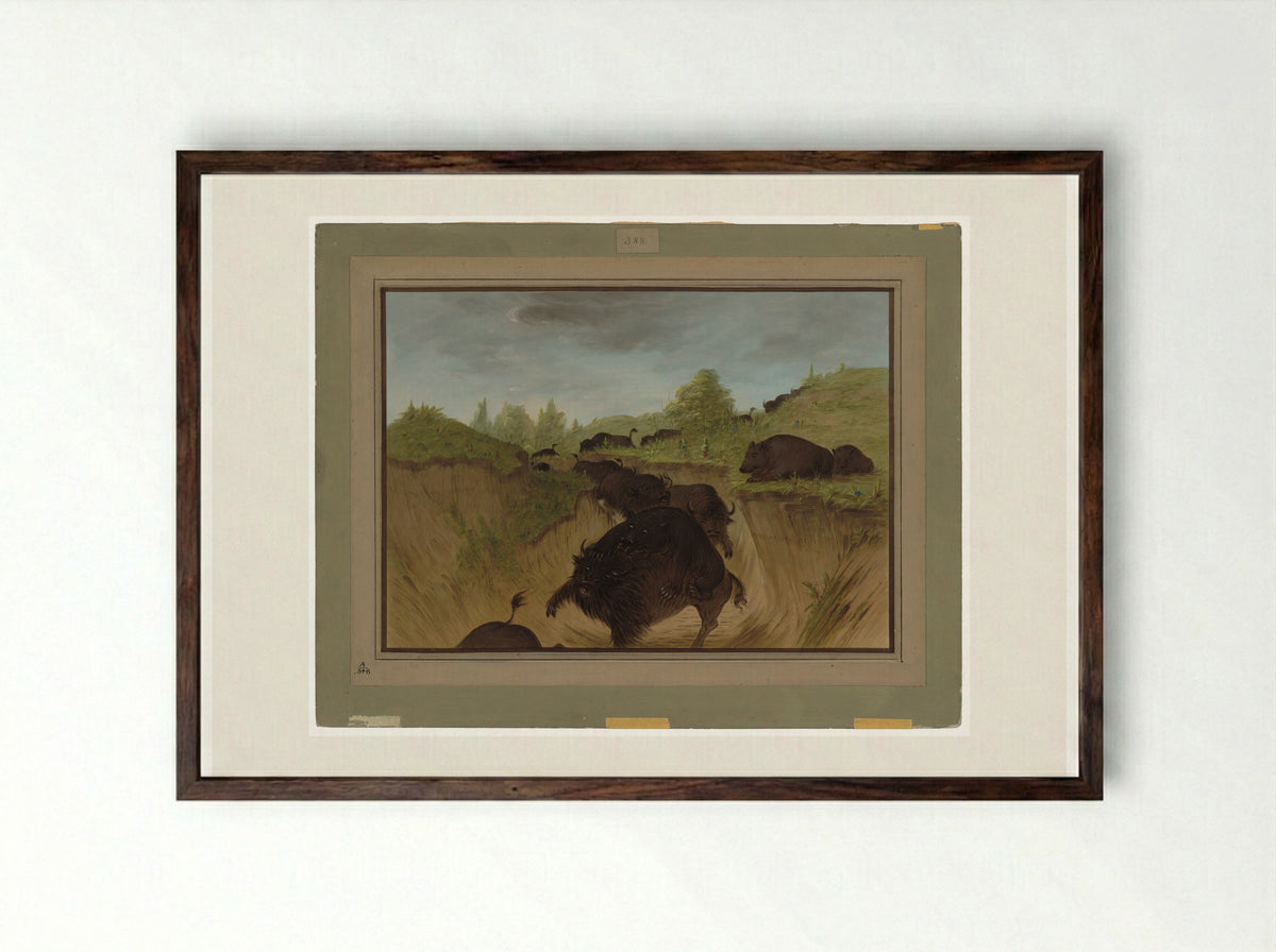 Attacking the Grizzly Bear - George Catlin - Framed Print Dark Wood