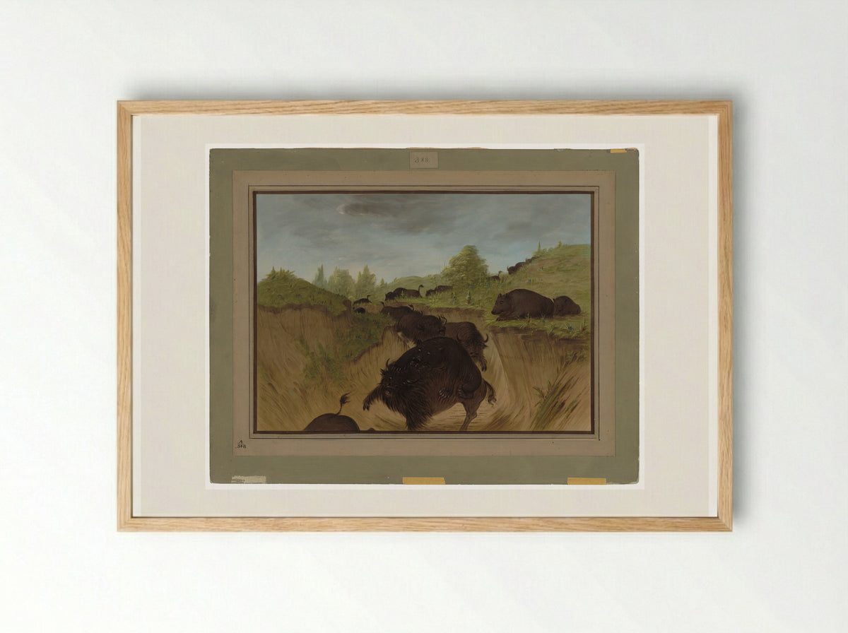 Attacking the Grizzly Bear - George Catlin - Framed Print Wood