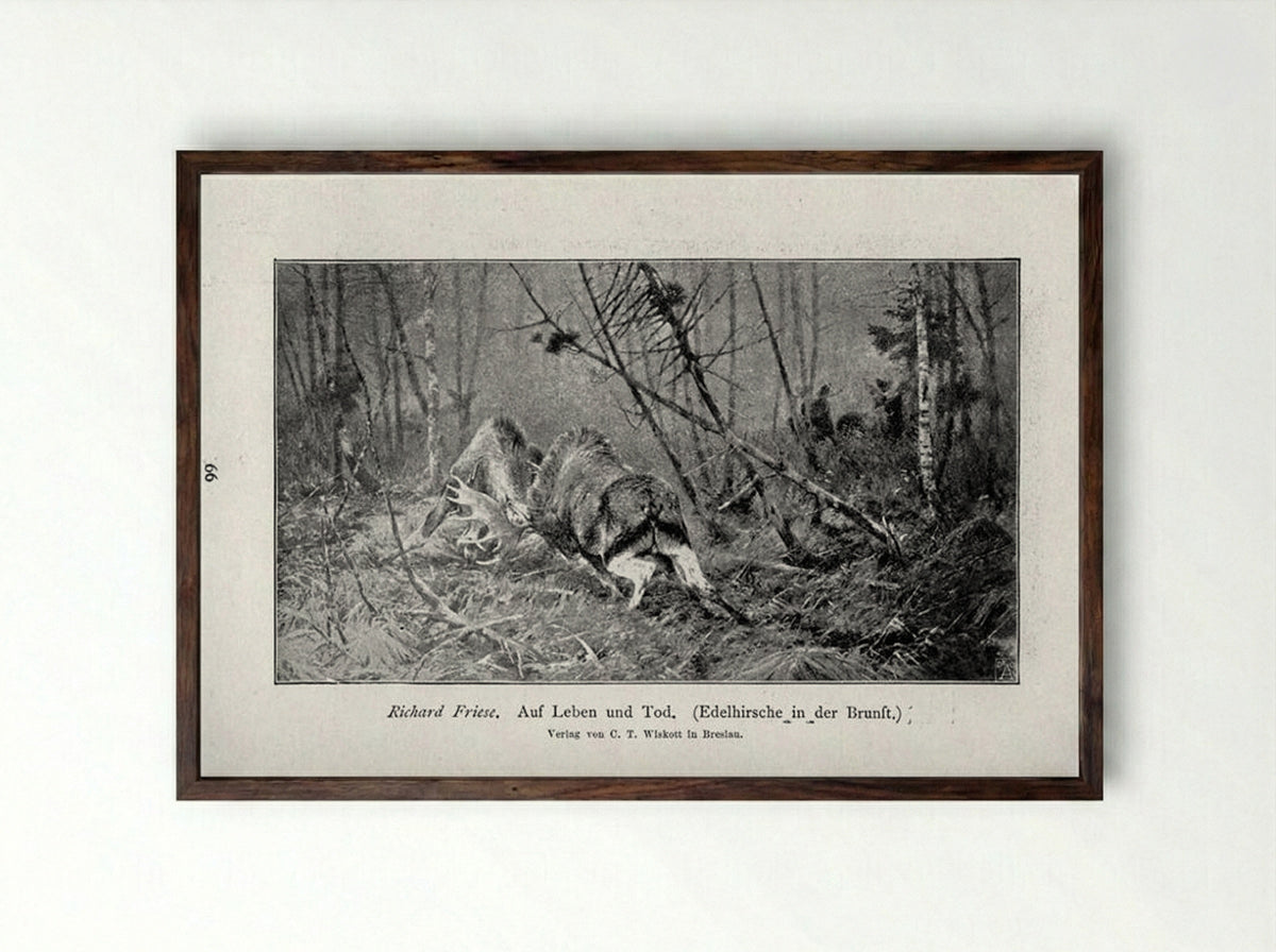 Auf Leben und Tod (Edelhirsche in der Brunft) - Richard Friese - Framed Print Dark Wood