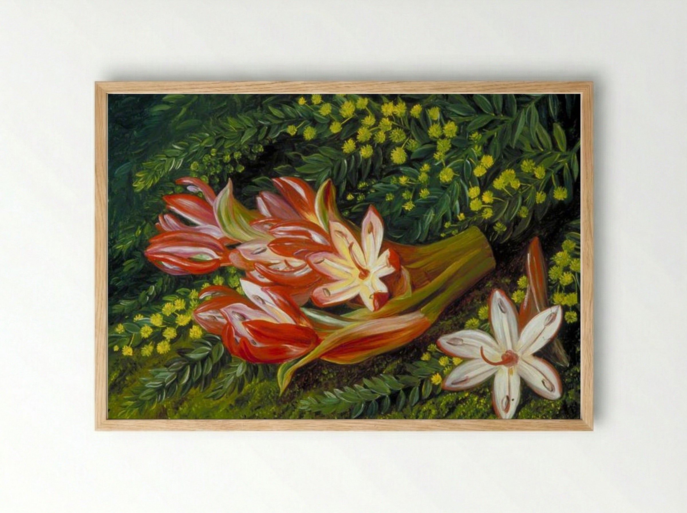 Australian Spear Lily and an Acacia - Marianne North - Framed Print Wood