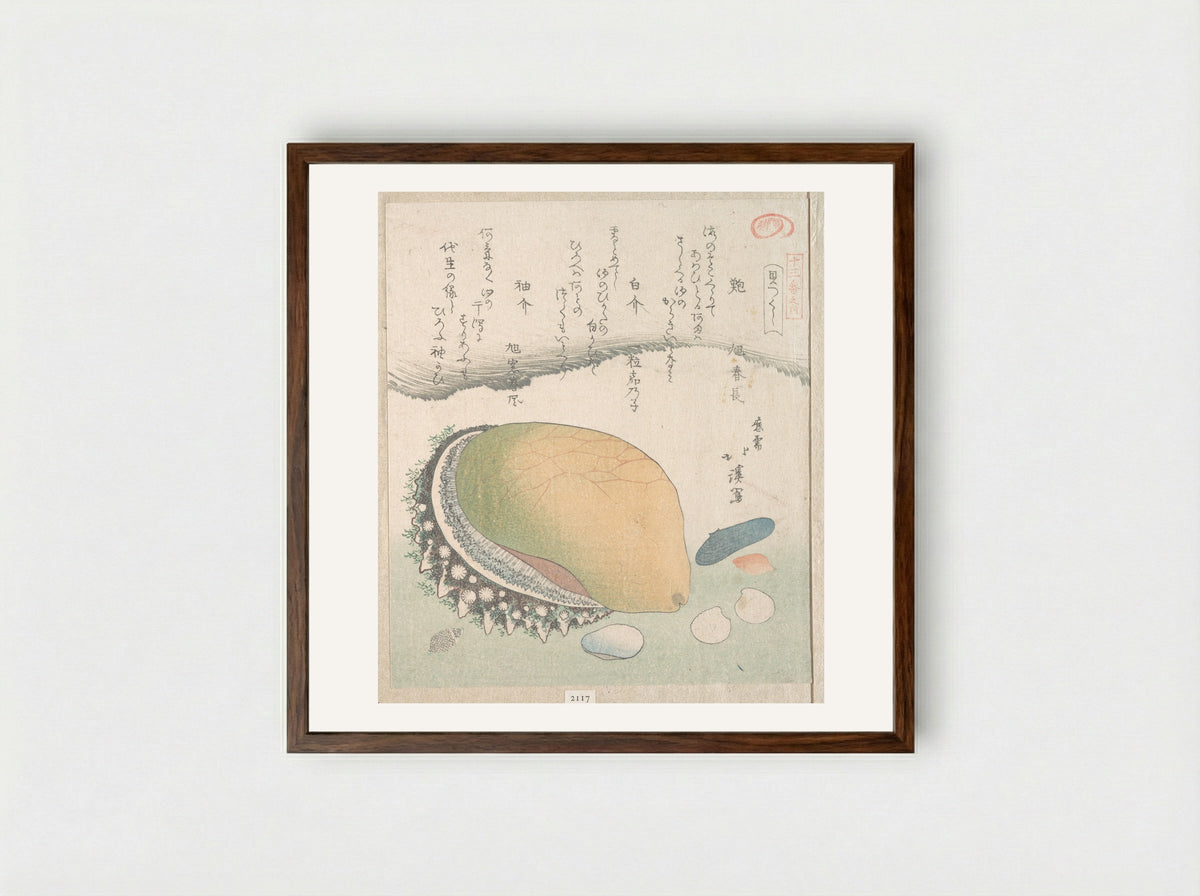 Awabi (Ear-Shell) and Various Shells - Totoya Hokkei - Framed Print Dark Wood