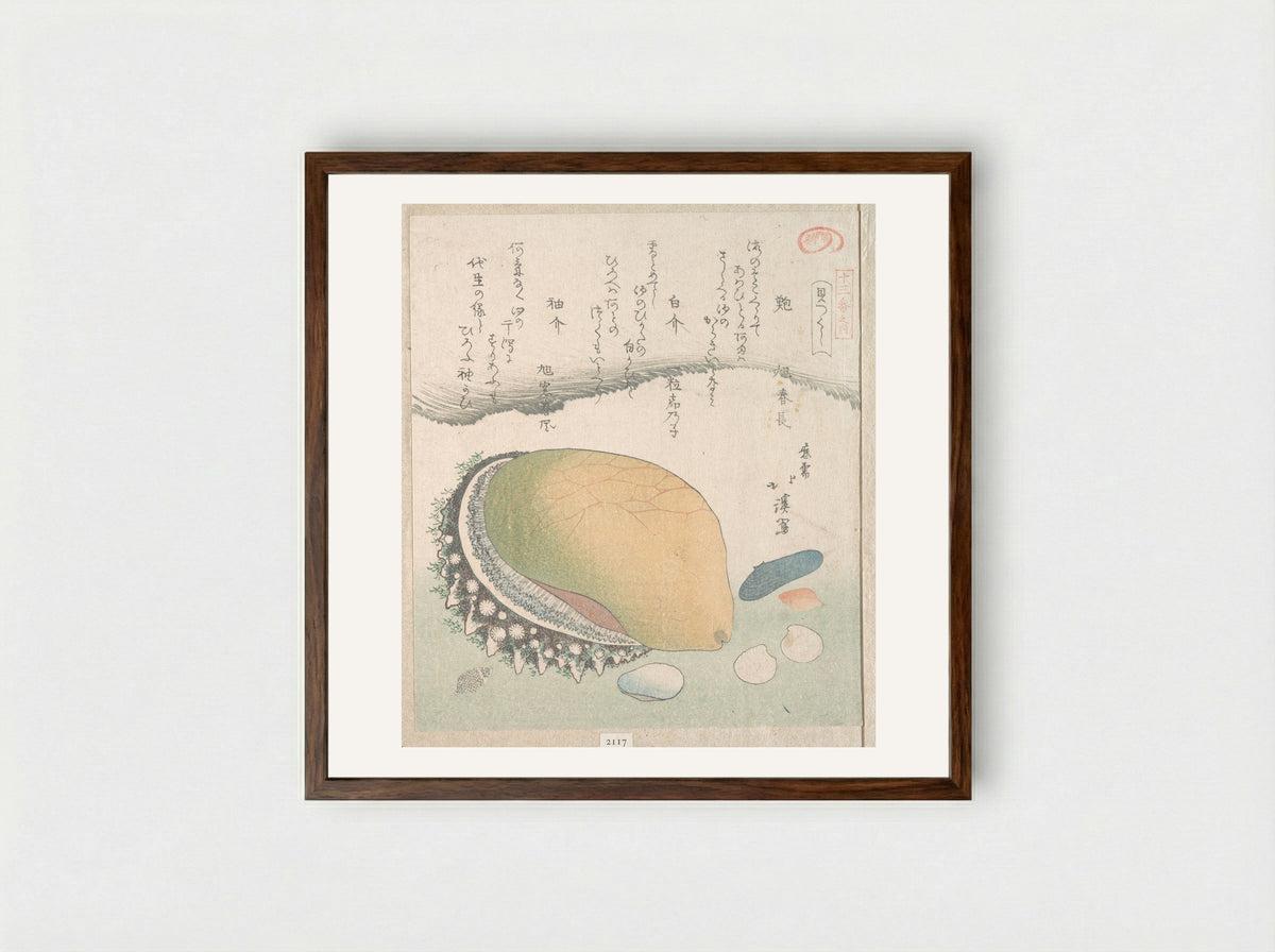 Awabi (Ear-Shell) and Various Shells - Totoya Hokkei - Framed Print Dark Wood