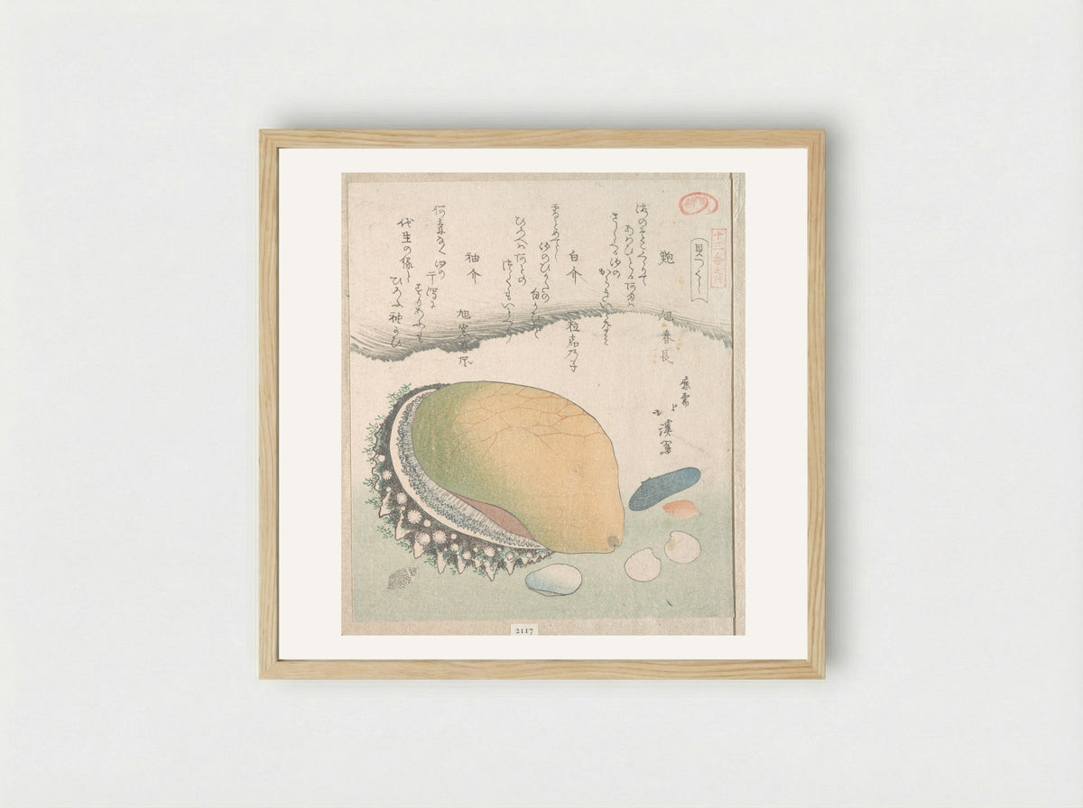 Awabi (Ear-Shell) and Various Shells - Totoya Hokkei - Framed Print Wood