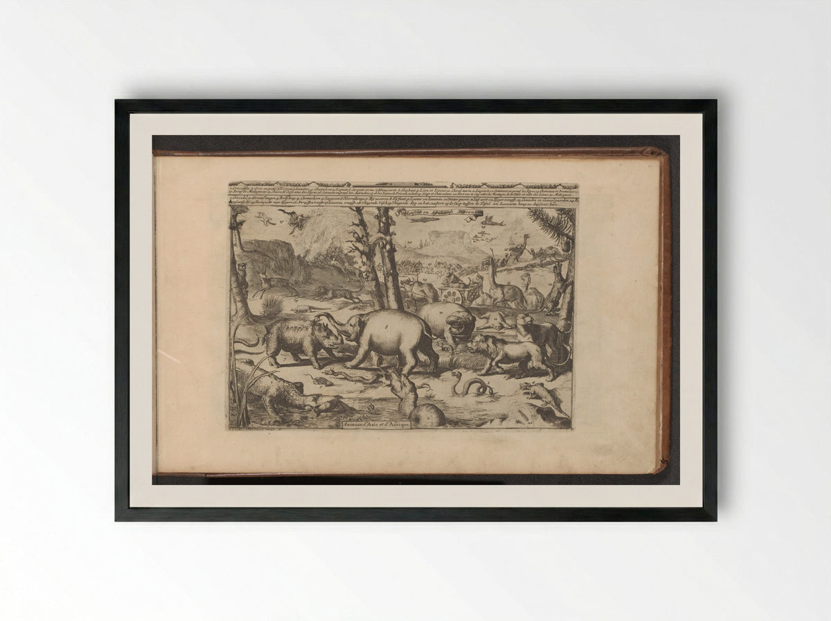 Aziatische en Afrikaanse dieren - Romeyn de Hooghe - Framed Print Black