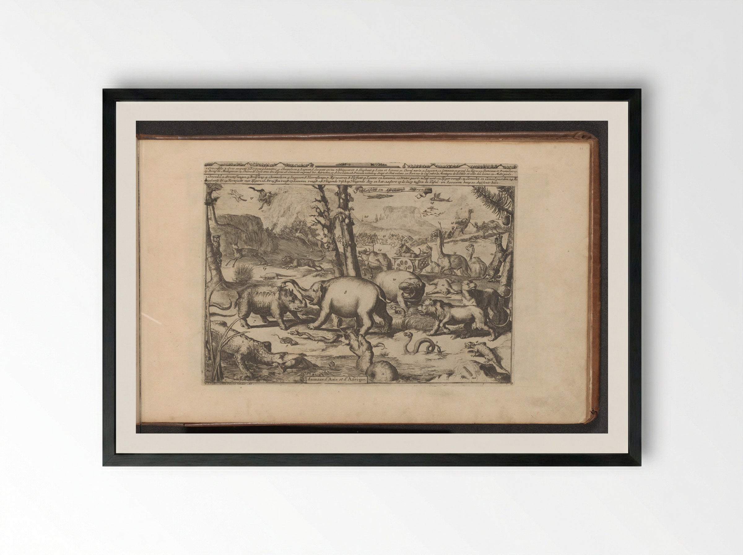 Aziatische en Afrikaanse dieren - Romeyn de Hooghe - Framed Print Black