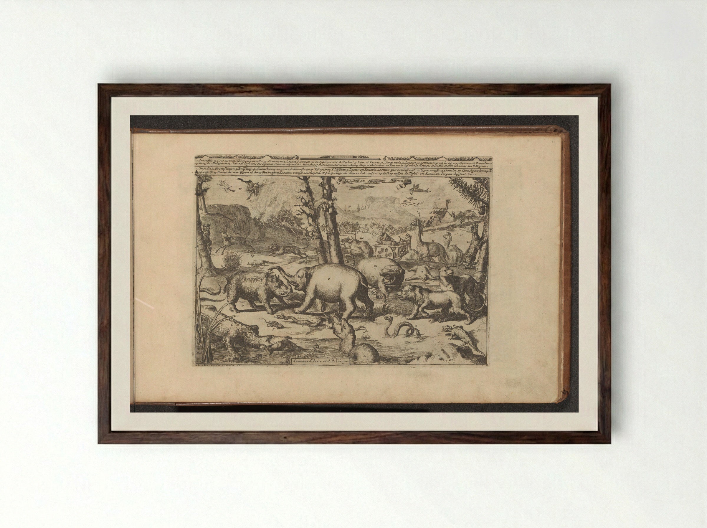 Aziatische en Afrikaanse dieren - Romeyn de Hooghe - Framed Print Dark Wood