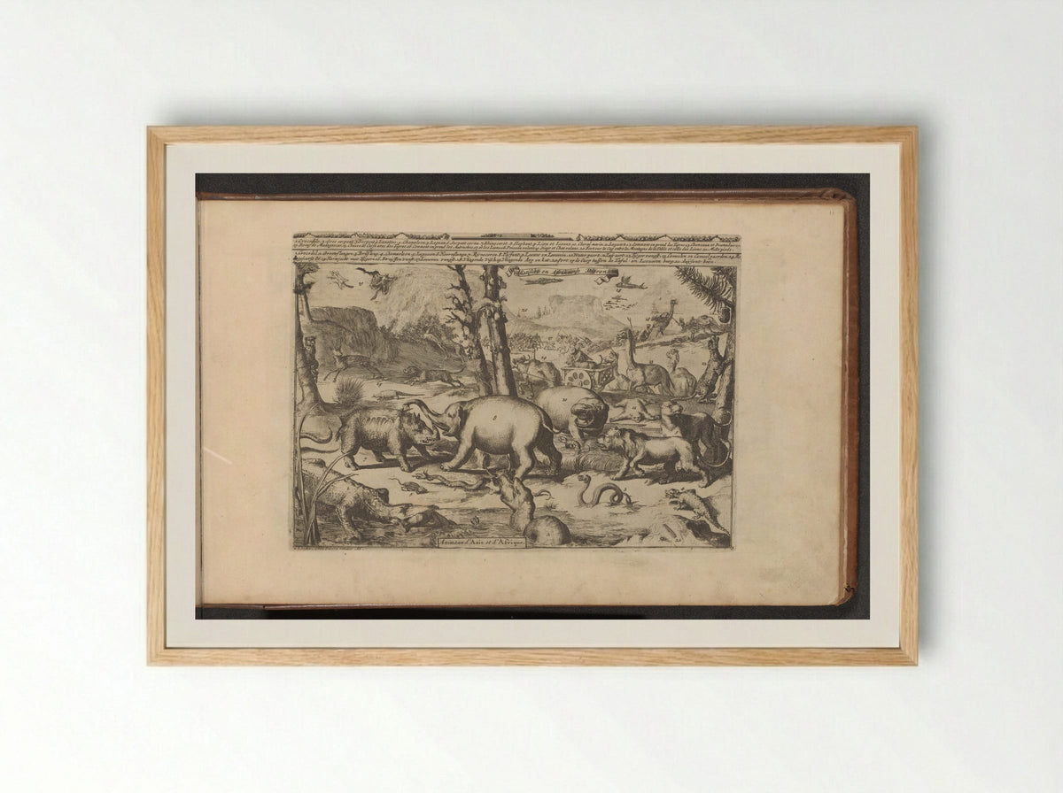 Aziatische en Afrikaanse dieren - Romeyn de Hooghe - Framed Print Wood