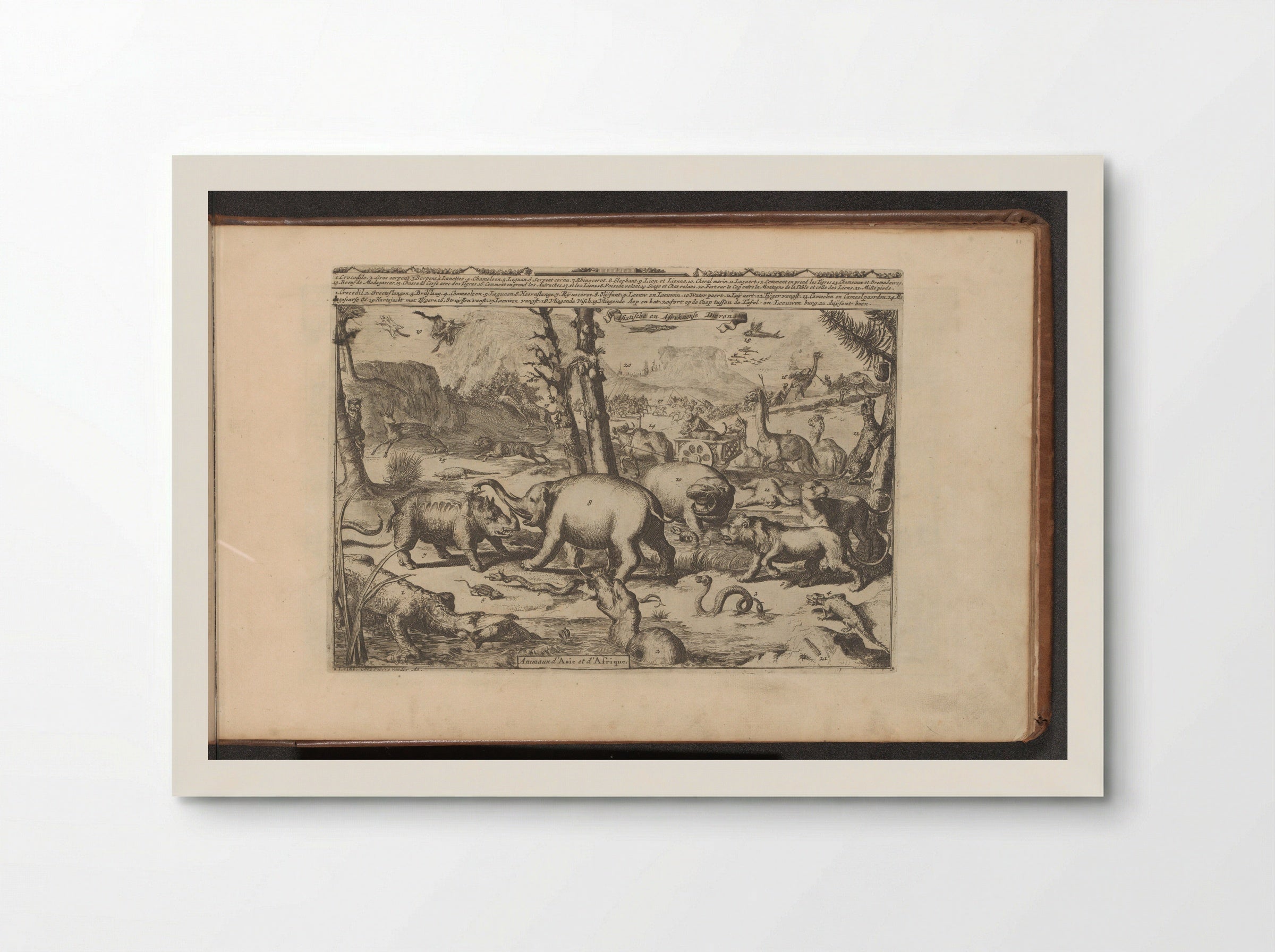Aziatische en Afrikaanse dieren - Romeyn de Hooghe - Poster