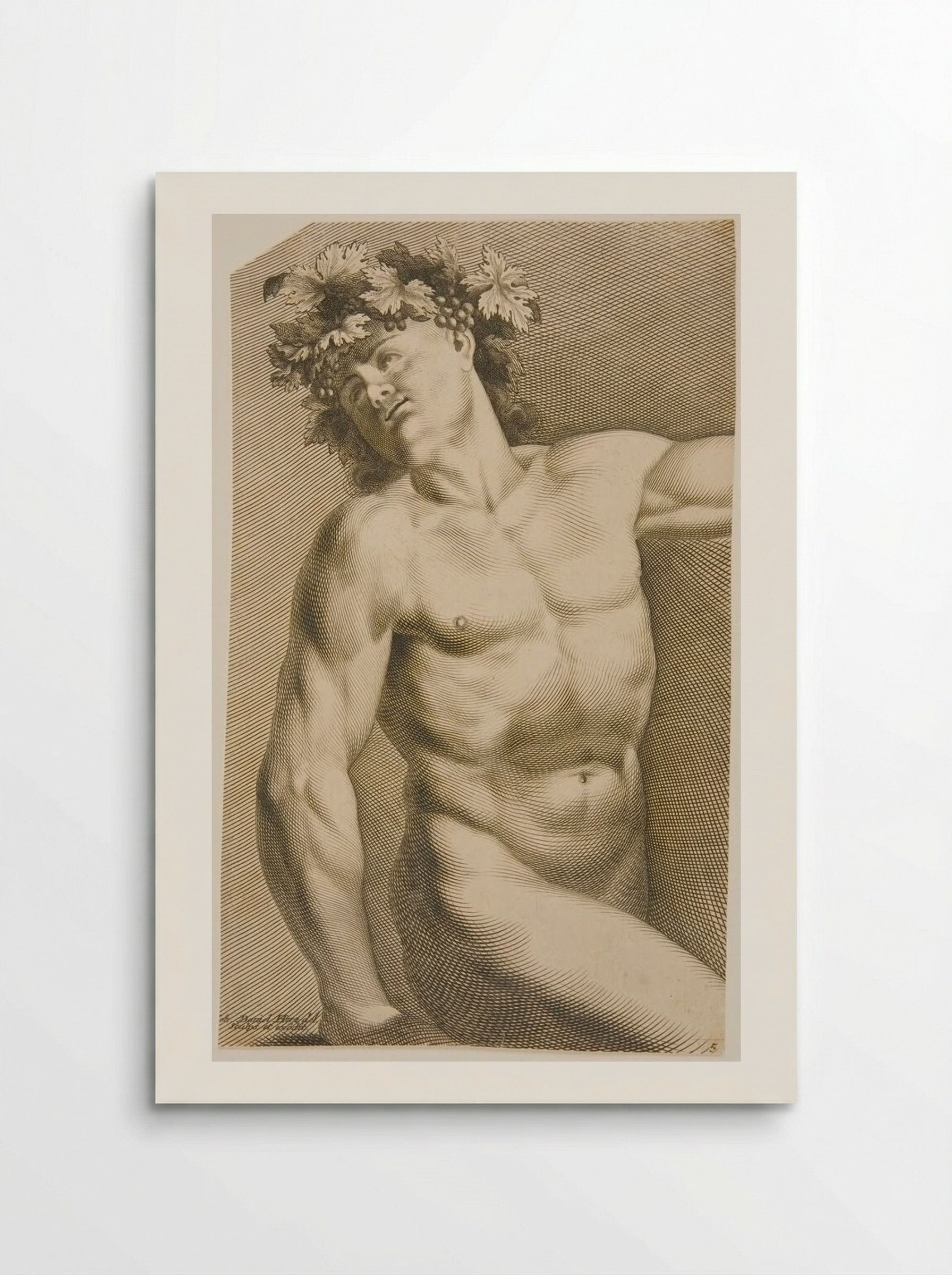 Bacchus - Johann Daniel Herz - Poster
