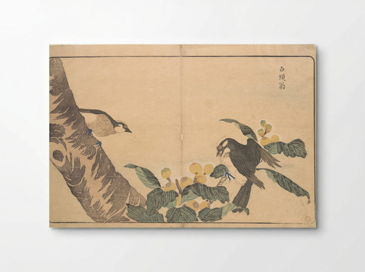 Bai tou weng - Kuwagata Keisai - Poster