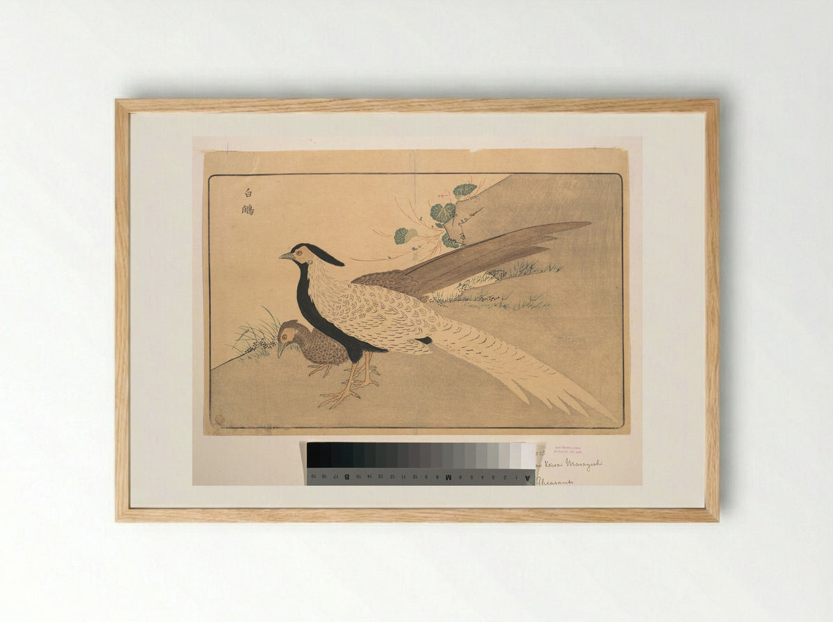 Bai xian (White Pheasant) - Kuwagata Keisai - Framed Print Wood