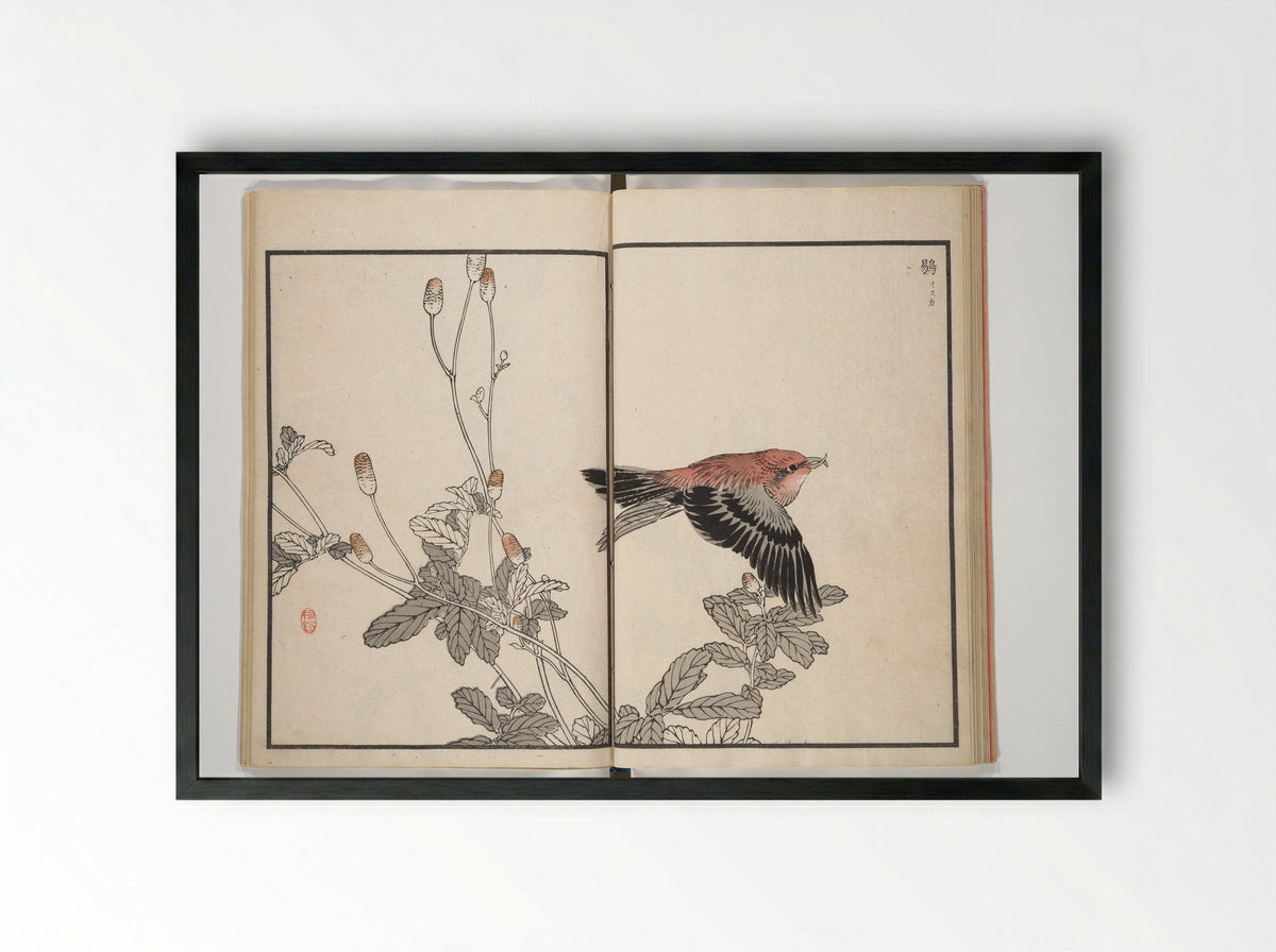 Bairei Picture Album of One Hundred Birds - Kōno Bairei - Framed Print Black